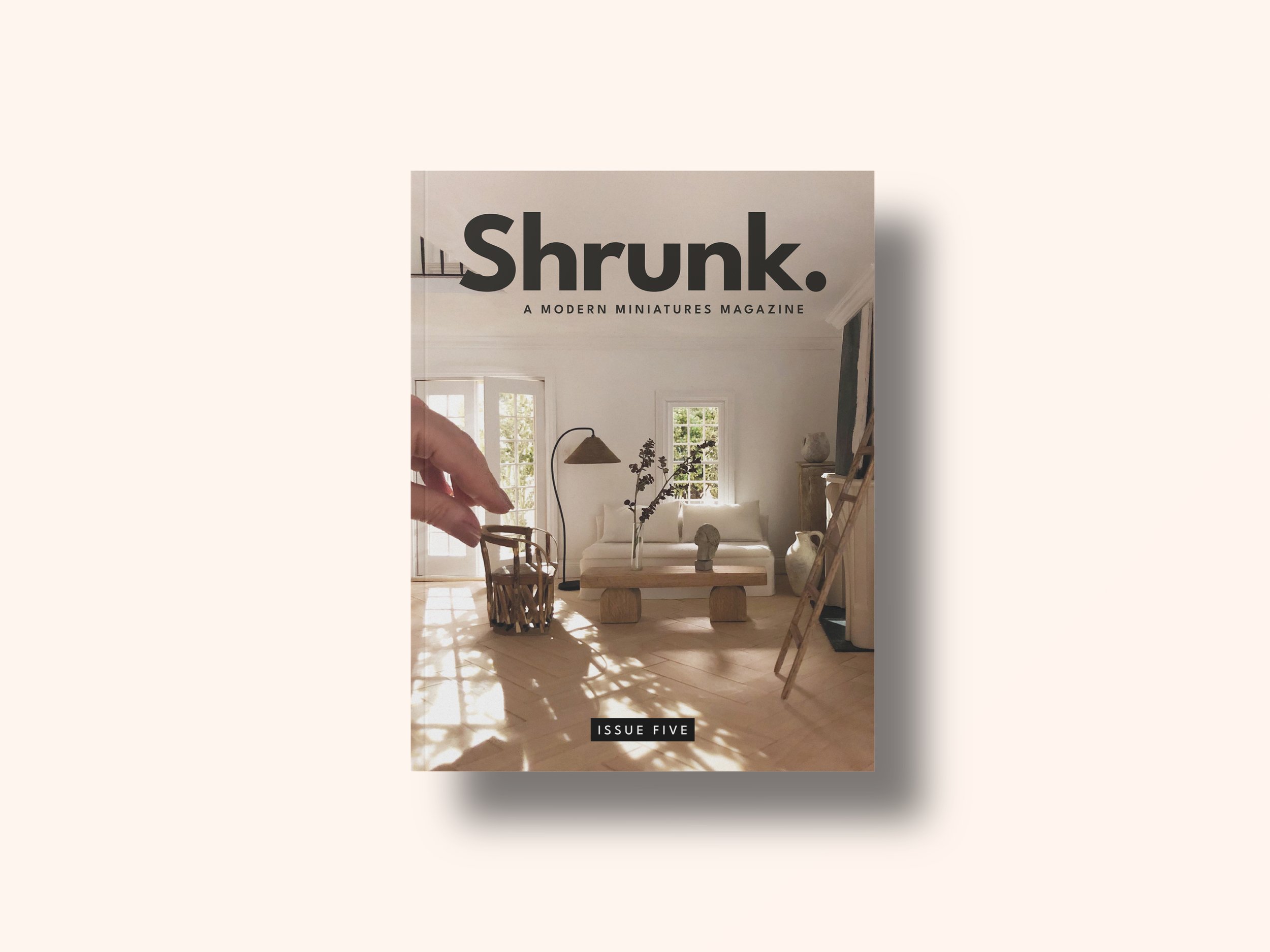 Design_by_Emilia_Shrunk_01.jpg