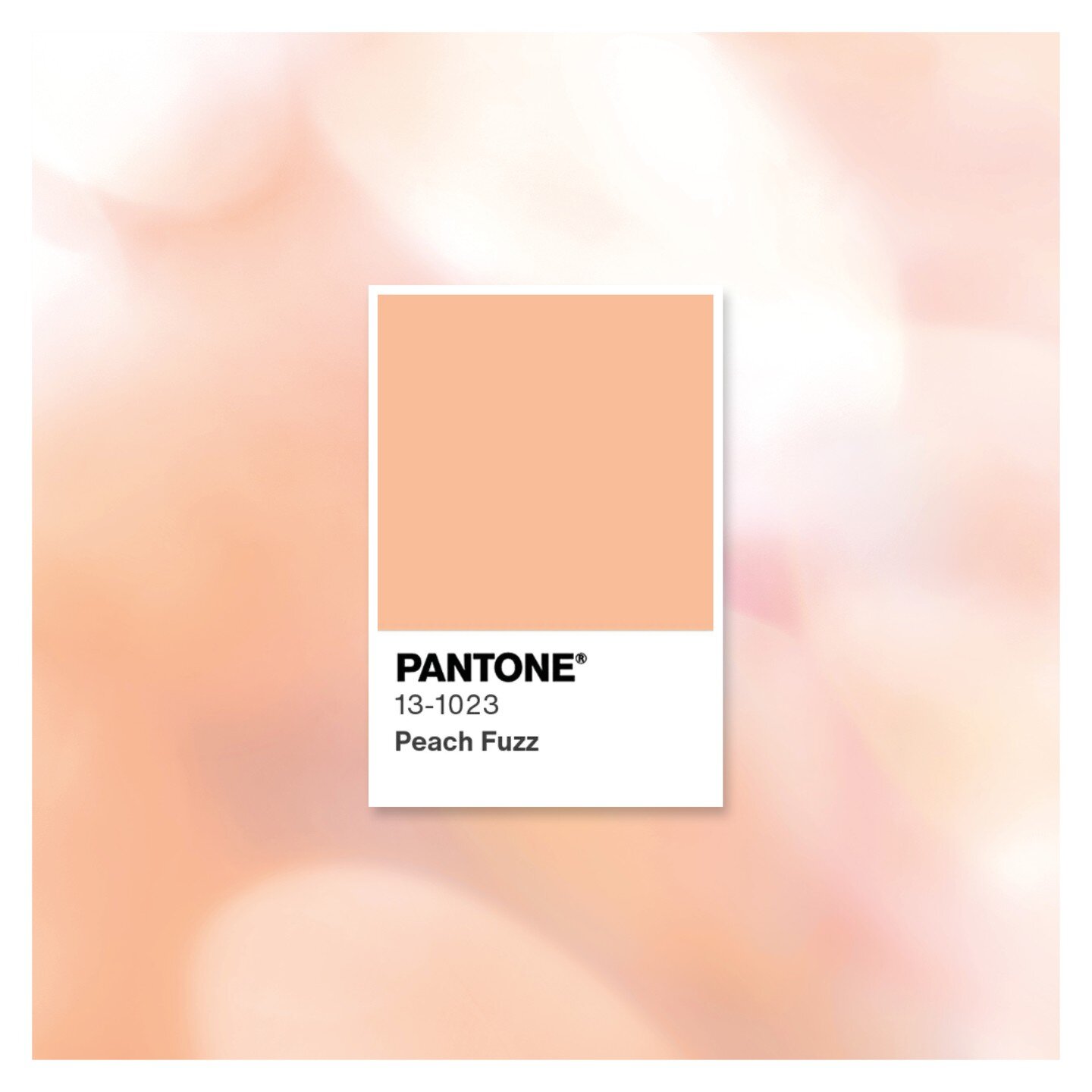Peach Fuzz is the Pantone Colour of the Year 2024. What are your thoughts? 🍑