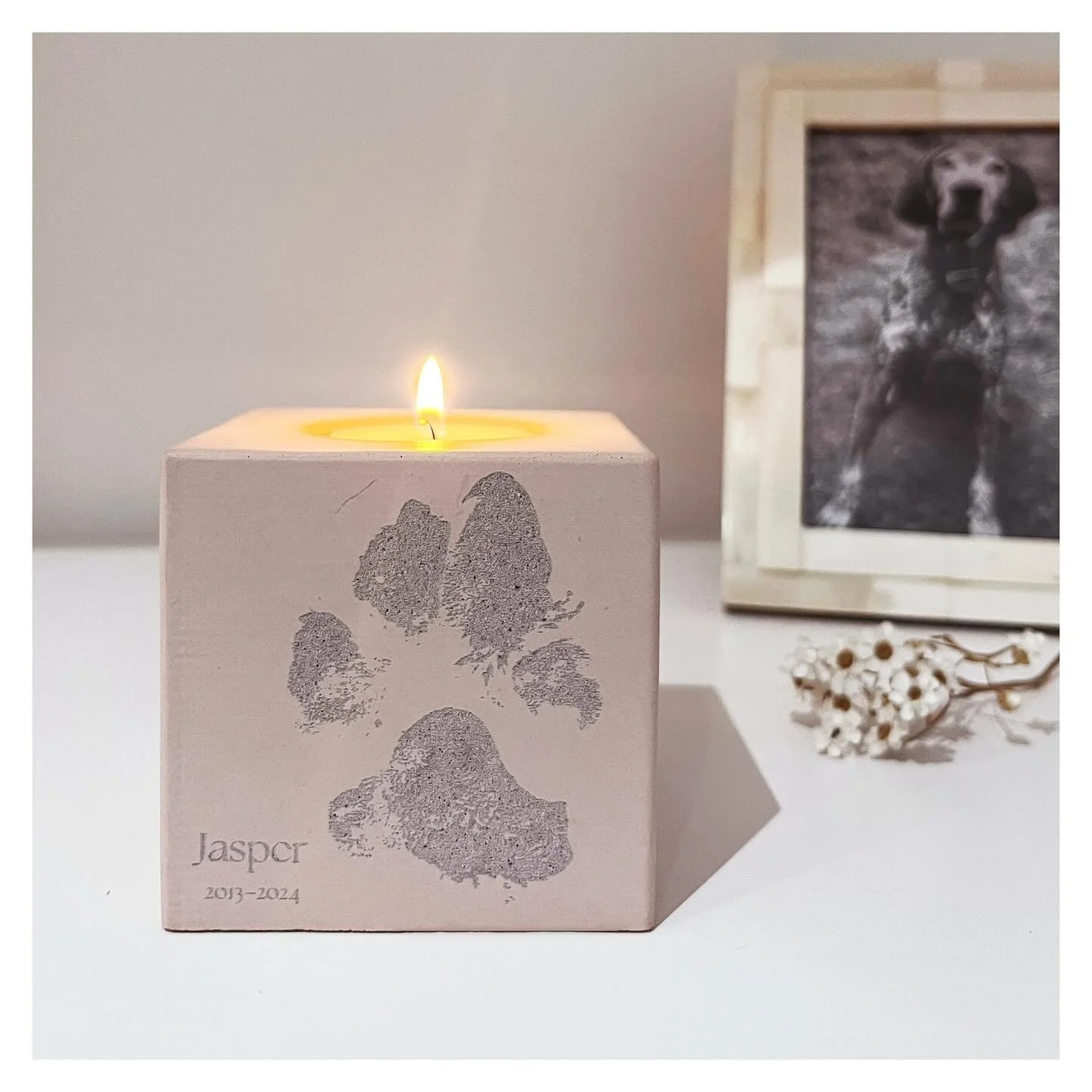 Posting something a little bit different today. Over the past few months I&rsquo;ve been working with my sister to develop a new product. And so, I&rsquo;d love to introduce you to @everpawhq 

We&rsquo;ve pulled our skills together to create somethi