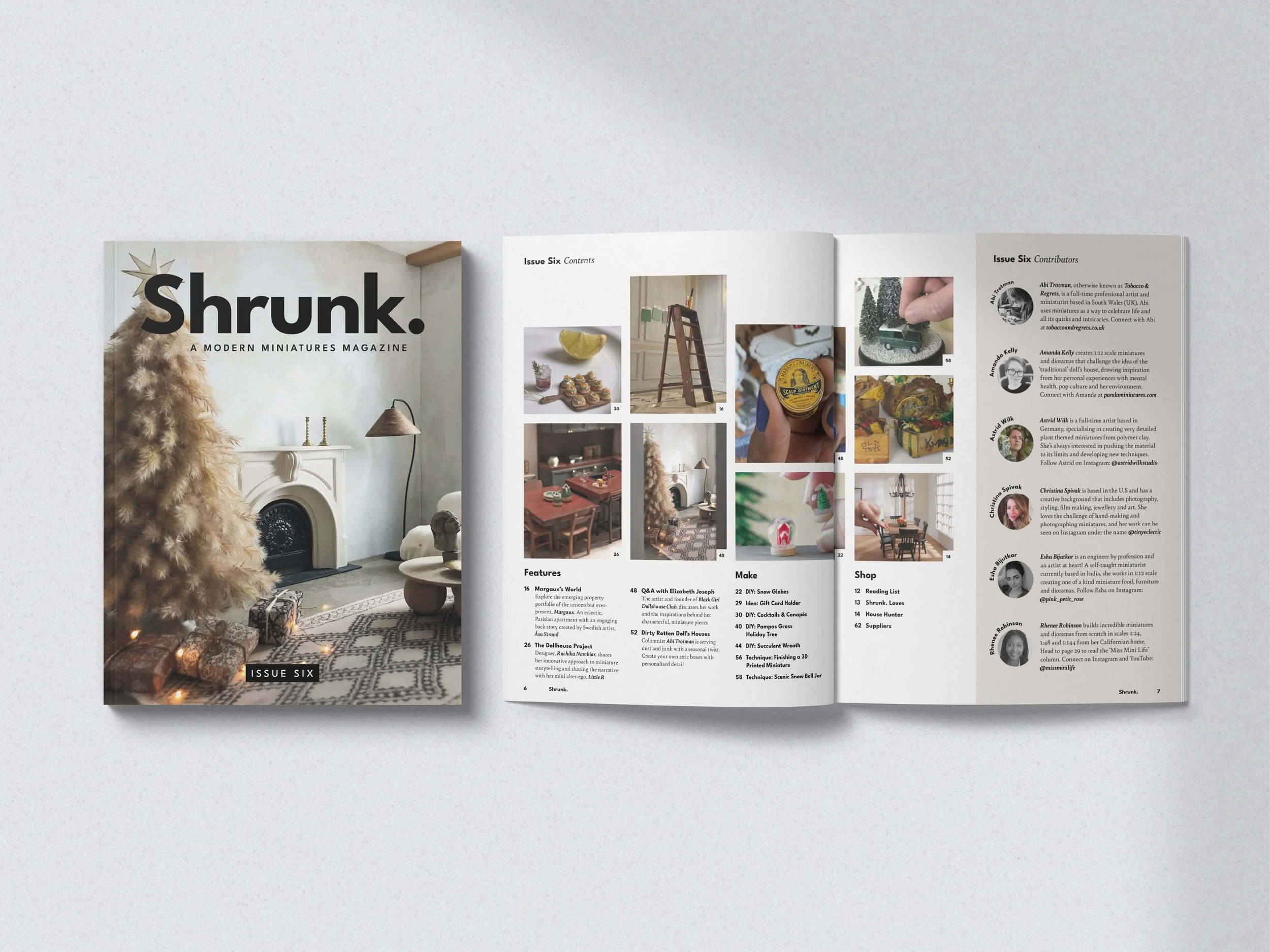 Design_by_Emilia_Shrunk_Magazine.jpg