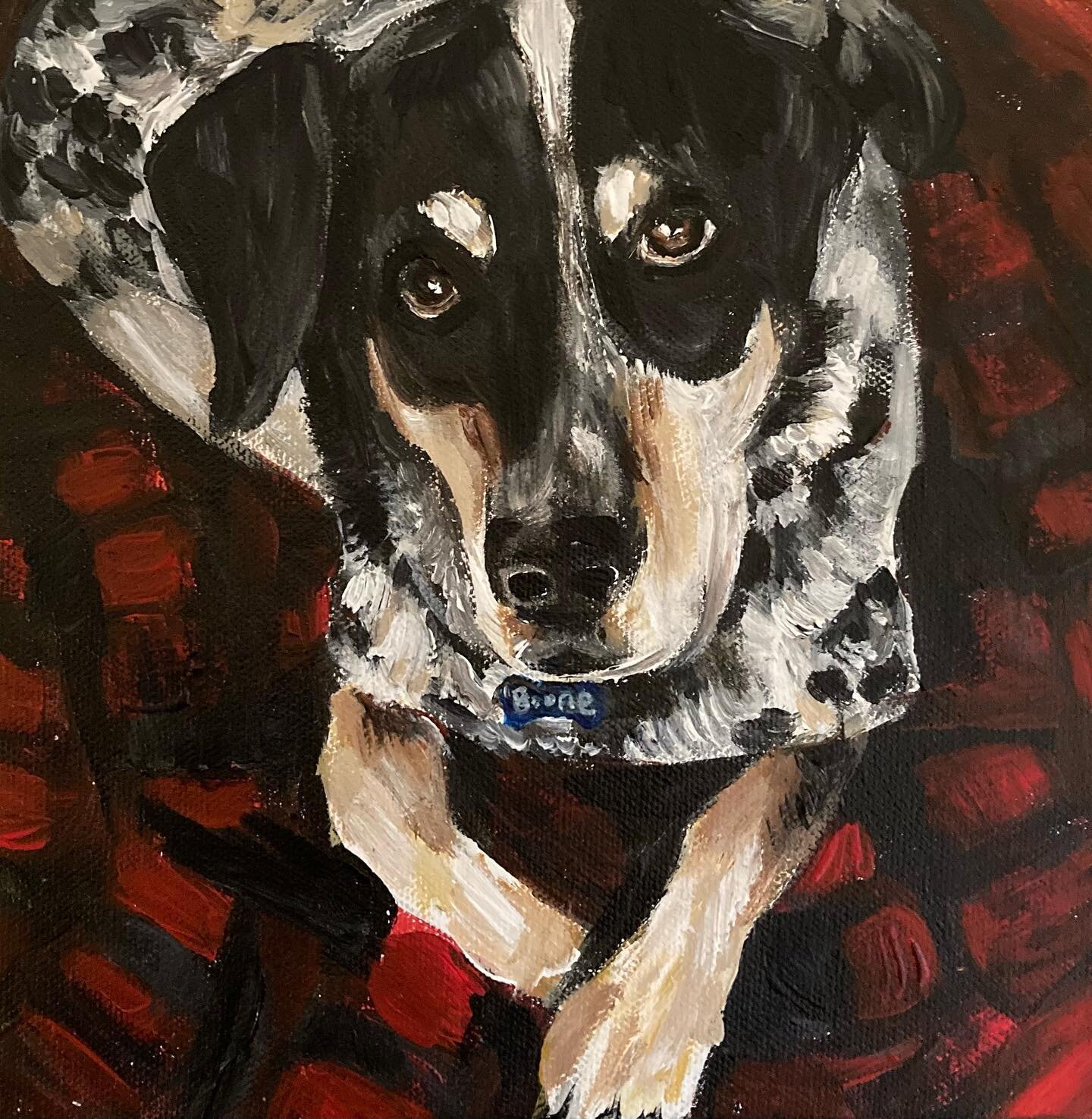 Boone 
8x8 acrylic on canvas
#dogsofinstagram #dogs #dog #dogpainting #dogportrait