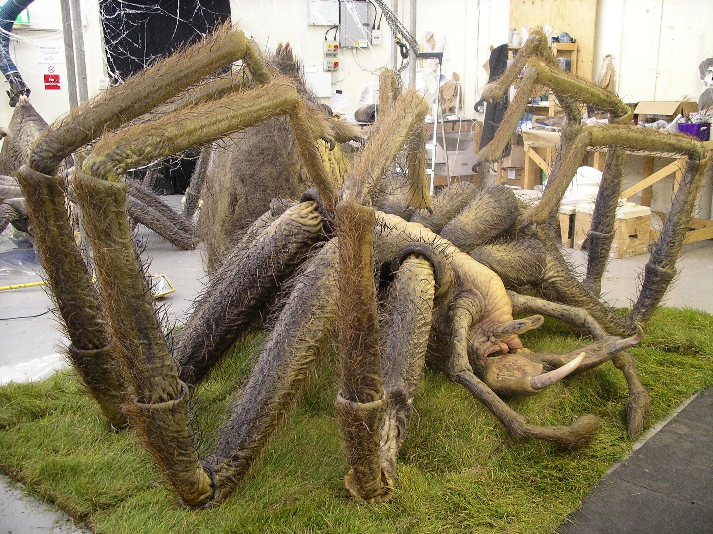 harry-potter-aragog