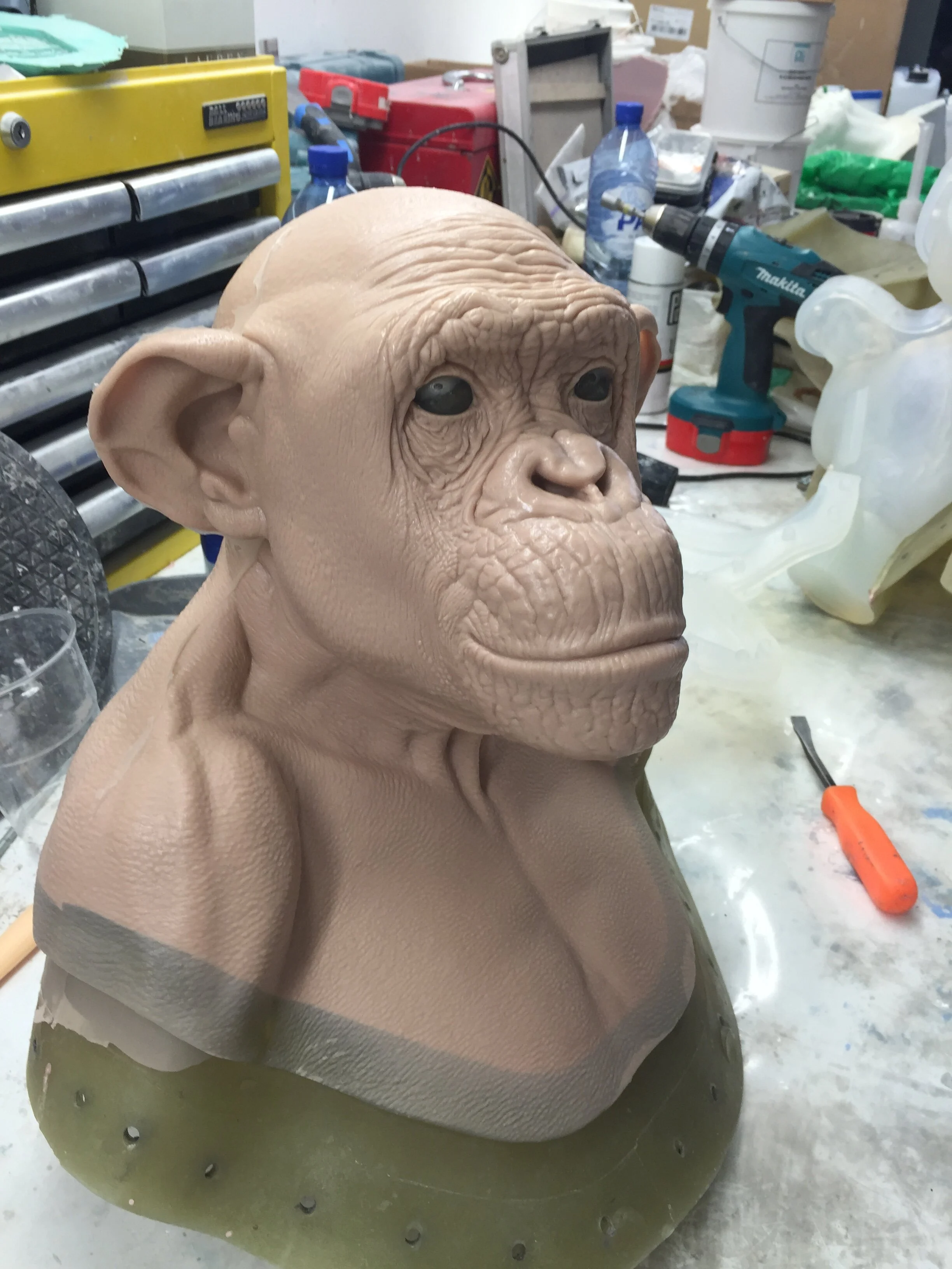 lucy-mould-giacomo-iovino