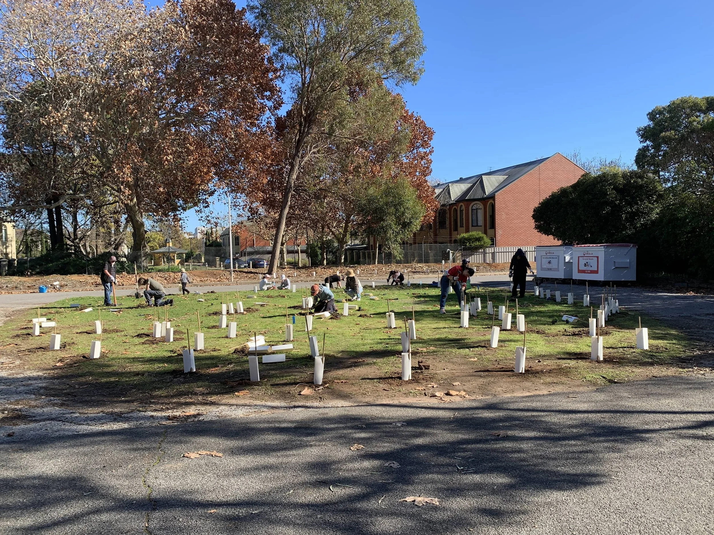 Z Ward planting National Trust of South Australia
