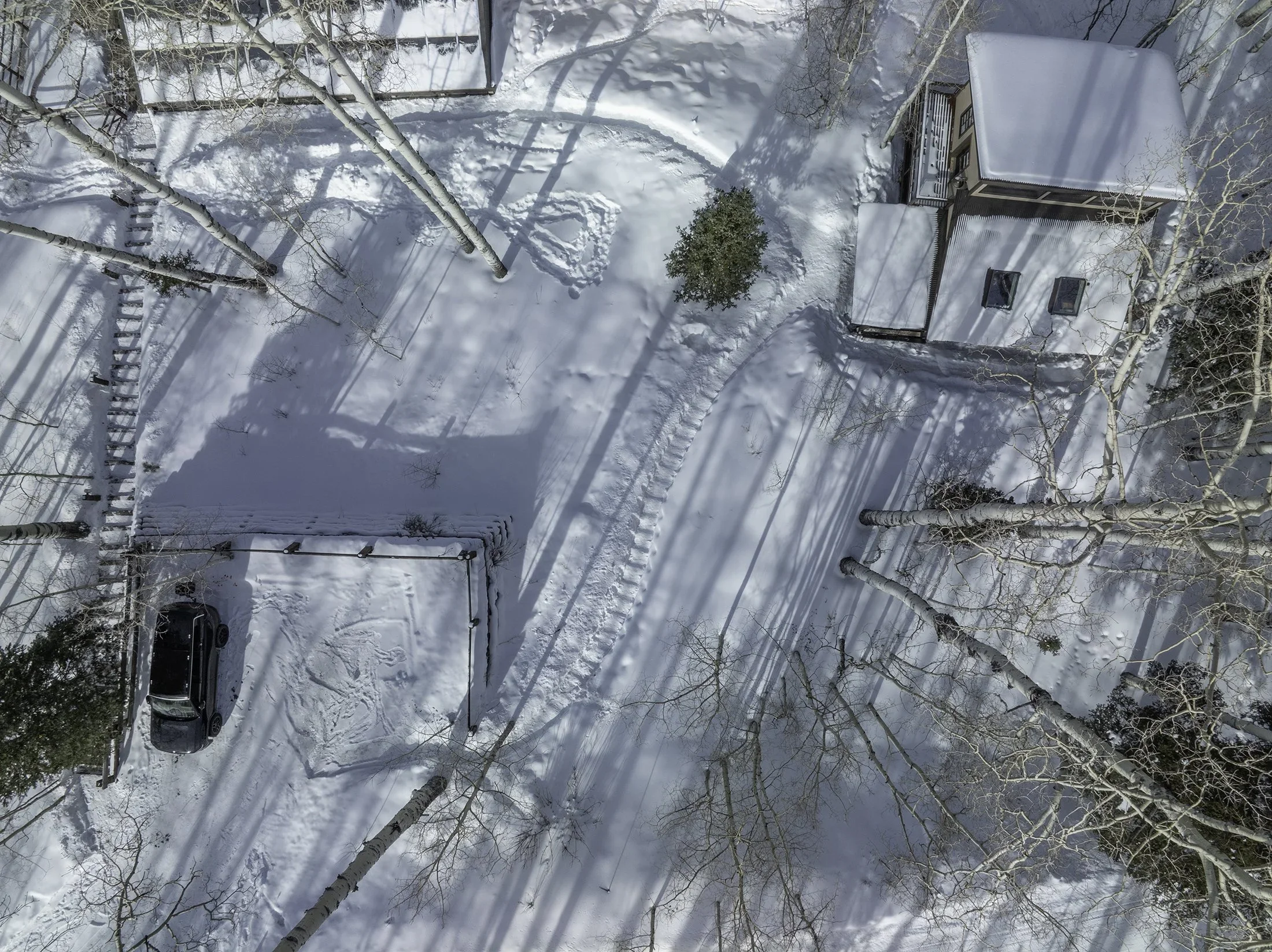 DroneOverhead.webp