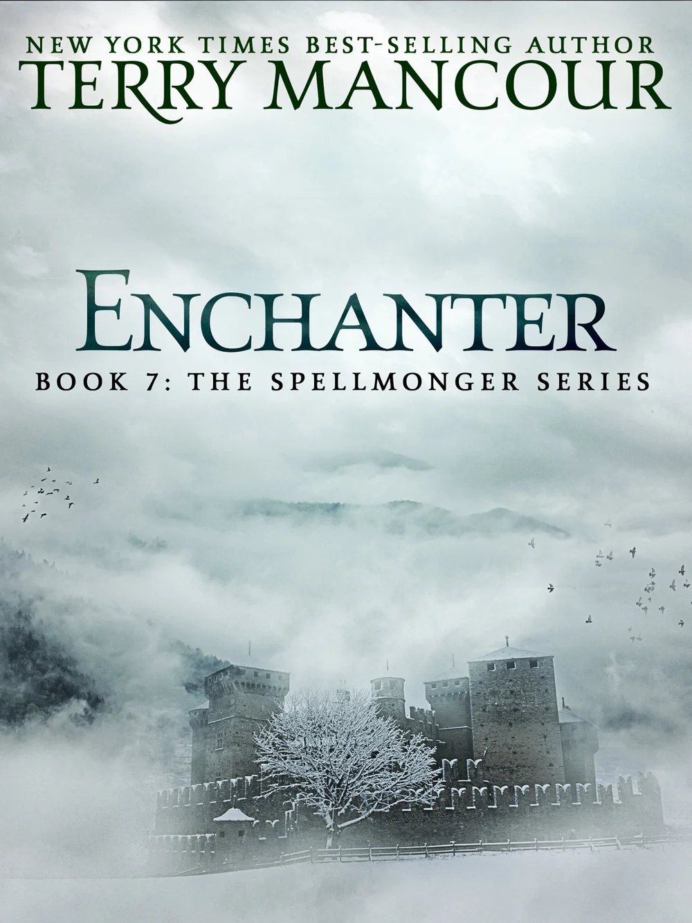 Books — The Spellmonger Series