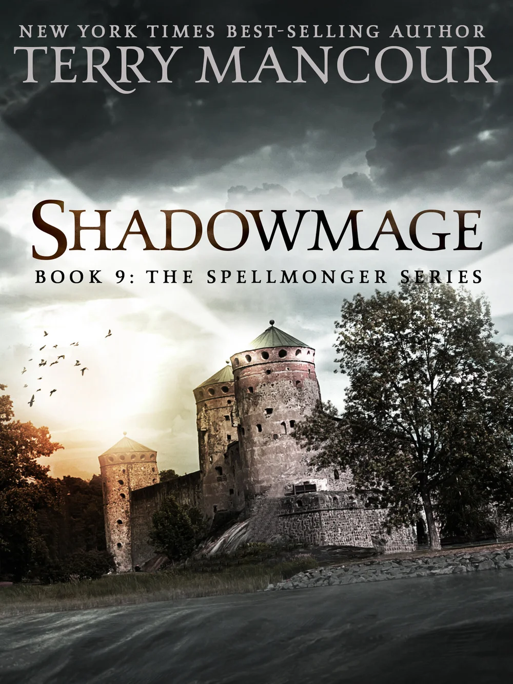Books — The Spellmonger Series