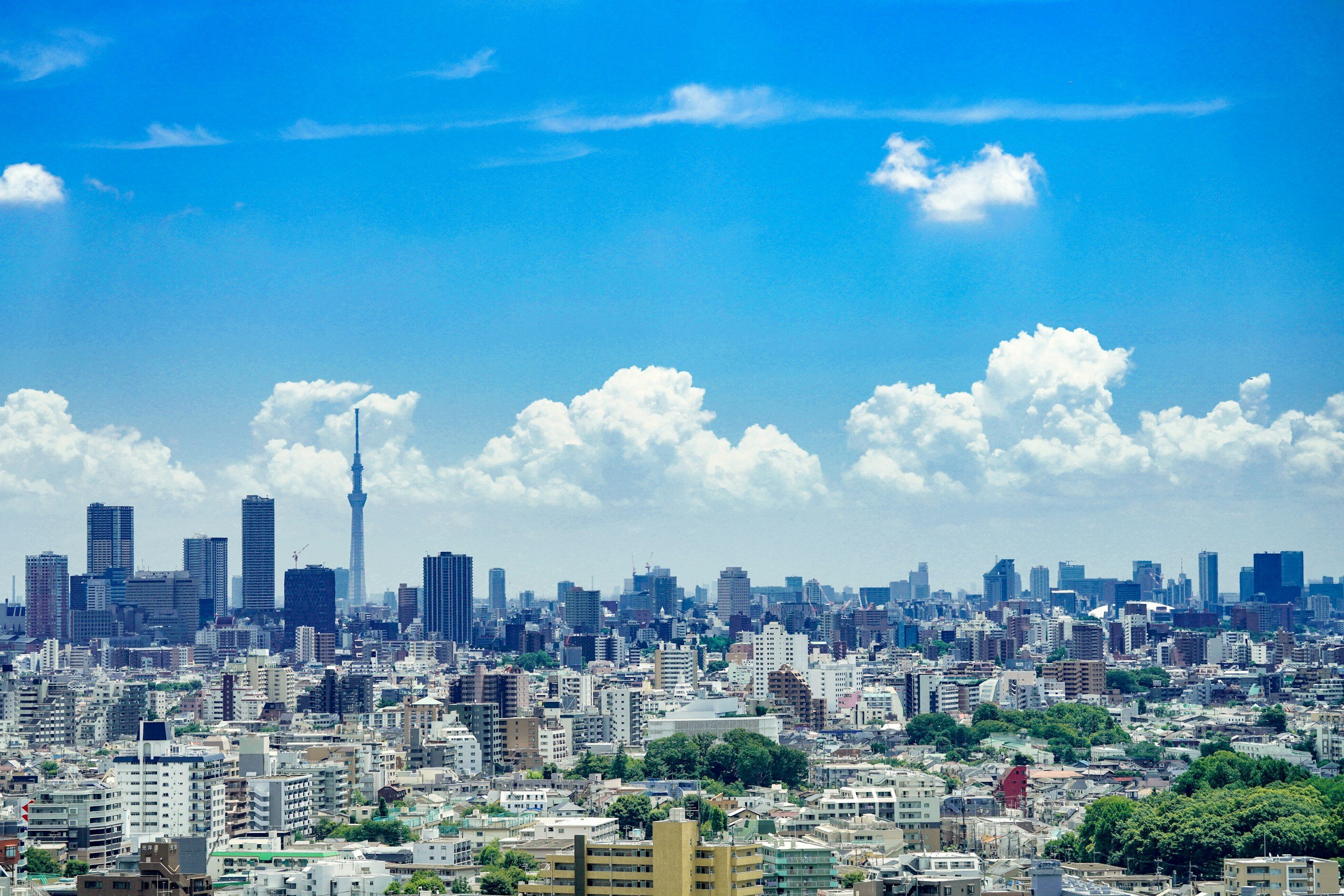 Corporate Demand Is Shaping the Future of Carbon Removal
