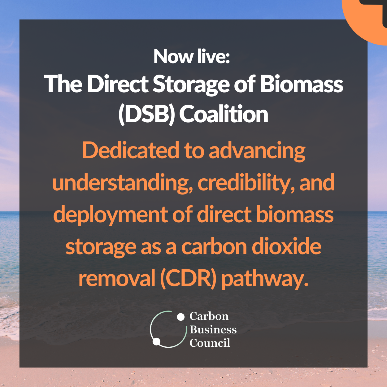 Direct Storage of Biomass Coalition Launches to Advance Carbon Removal Pathway