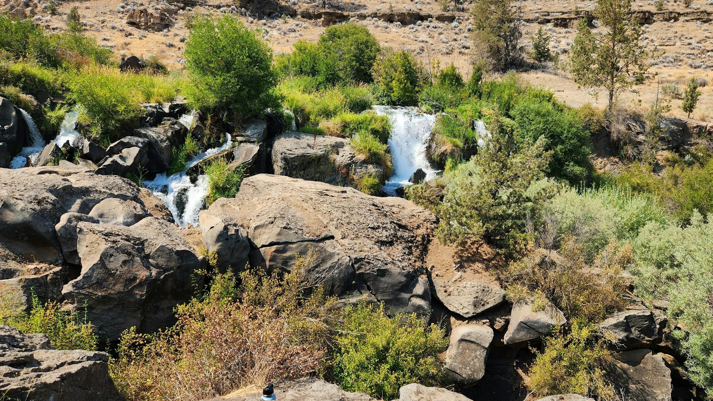 Carbon Business Council Statement on Market Developments in Carbon Removal Demand&nbsp;