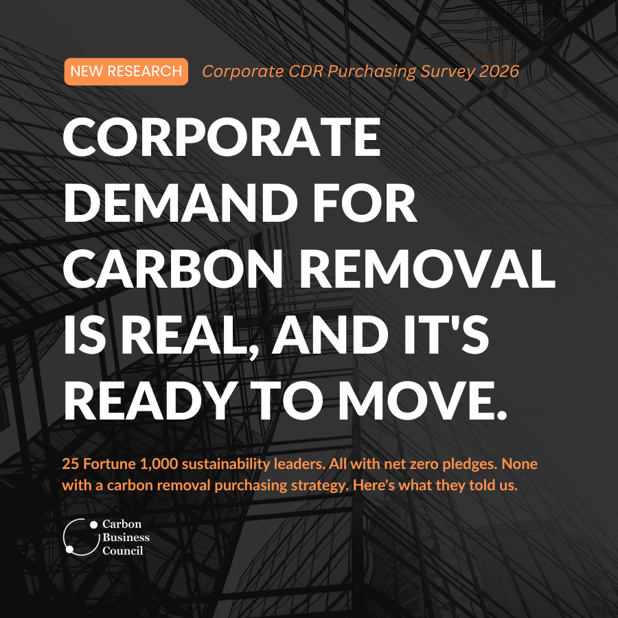 Companies expect to use carbon removal in the future, according to an interview series with corporate leaders. What will help them invest earlier?