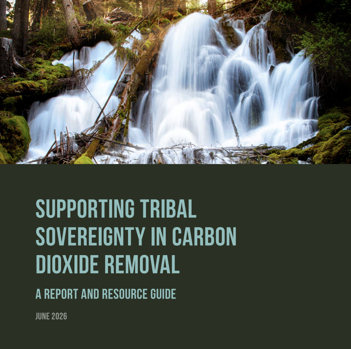 New Report and Resources Equip Tribal Nations to Navigate Growing Carbon Removal Industry