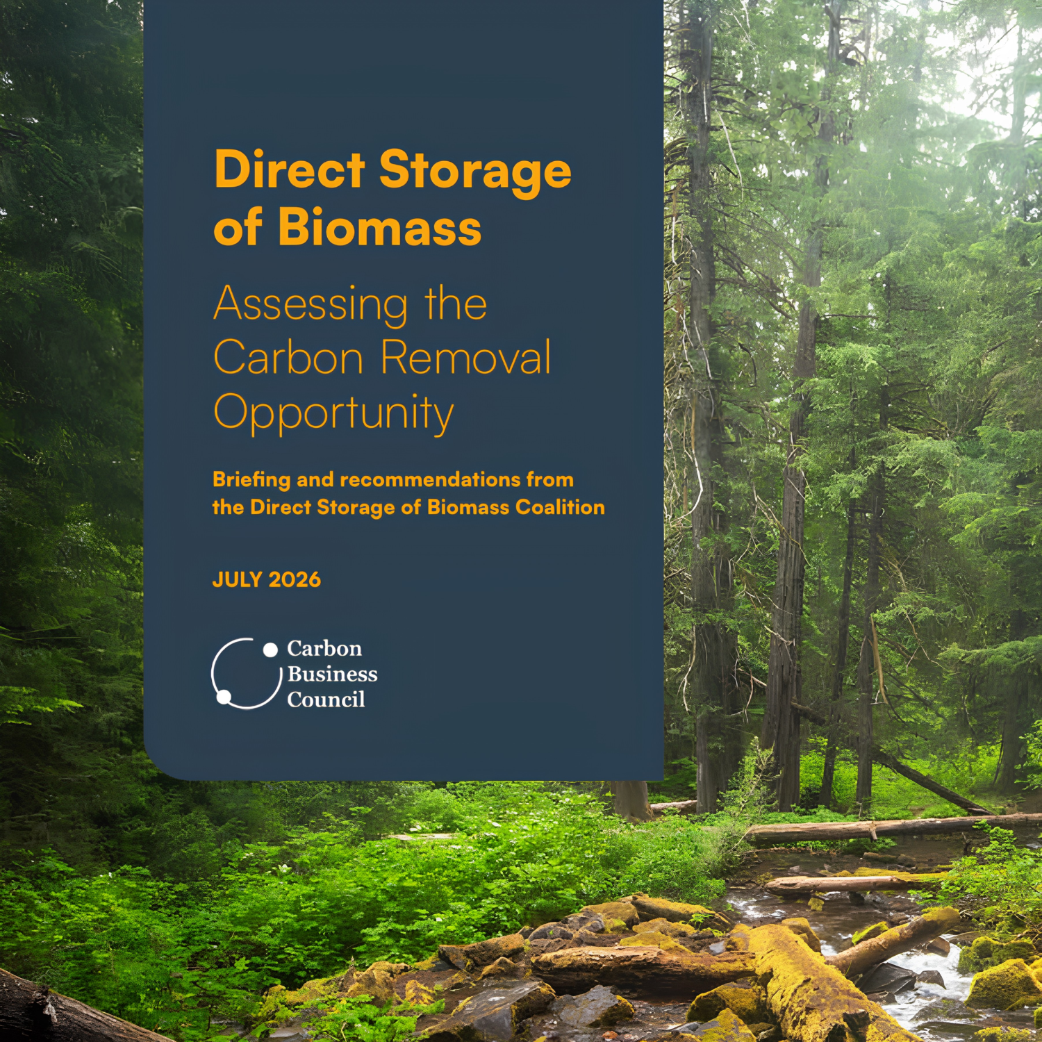 New Issue Brief Charts a Path to Scale Direct Storage of Biomass