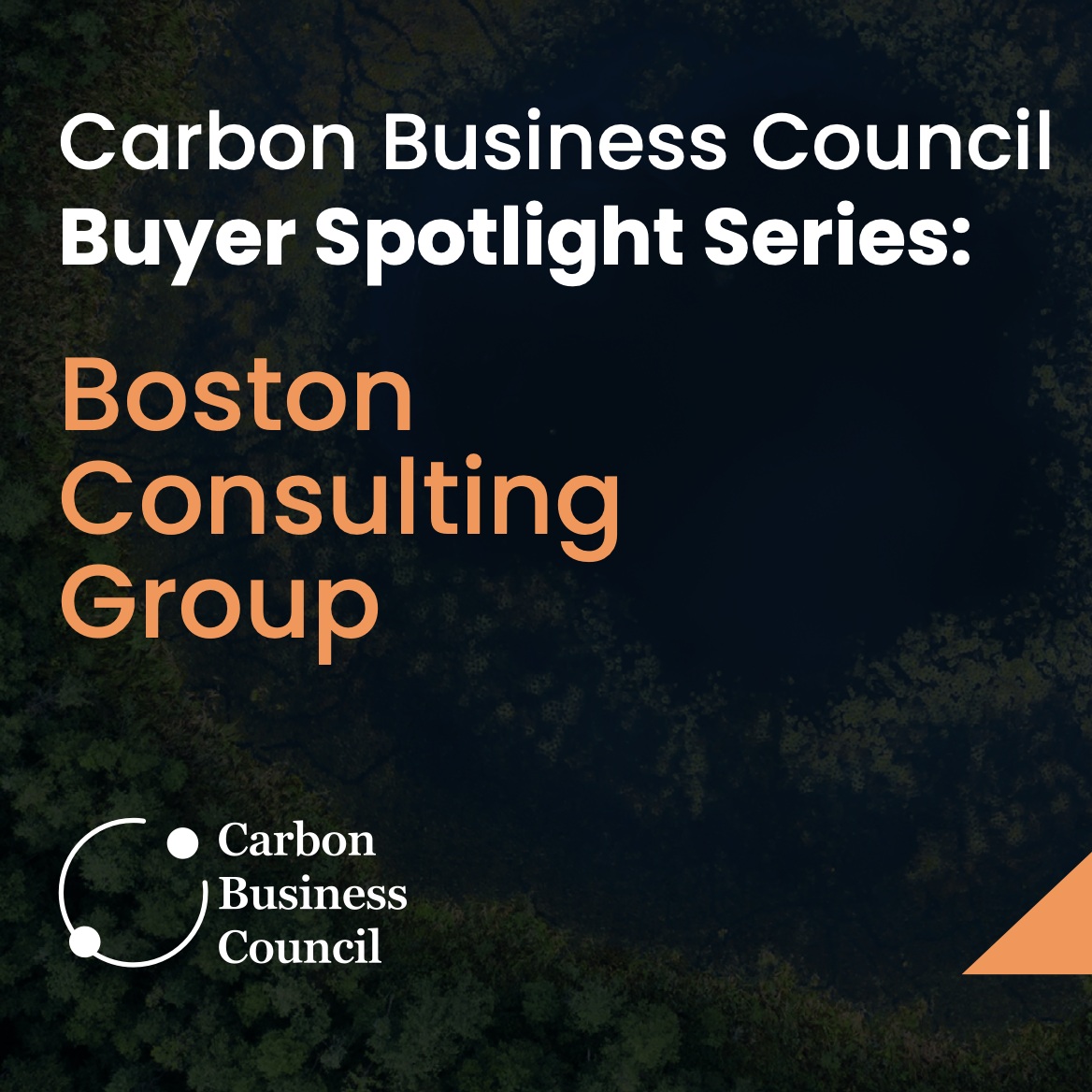 How Boston Consulting Group Built Carbon Removal Into Business