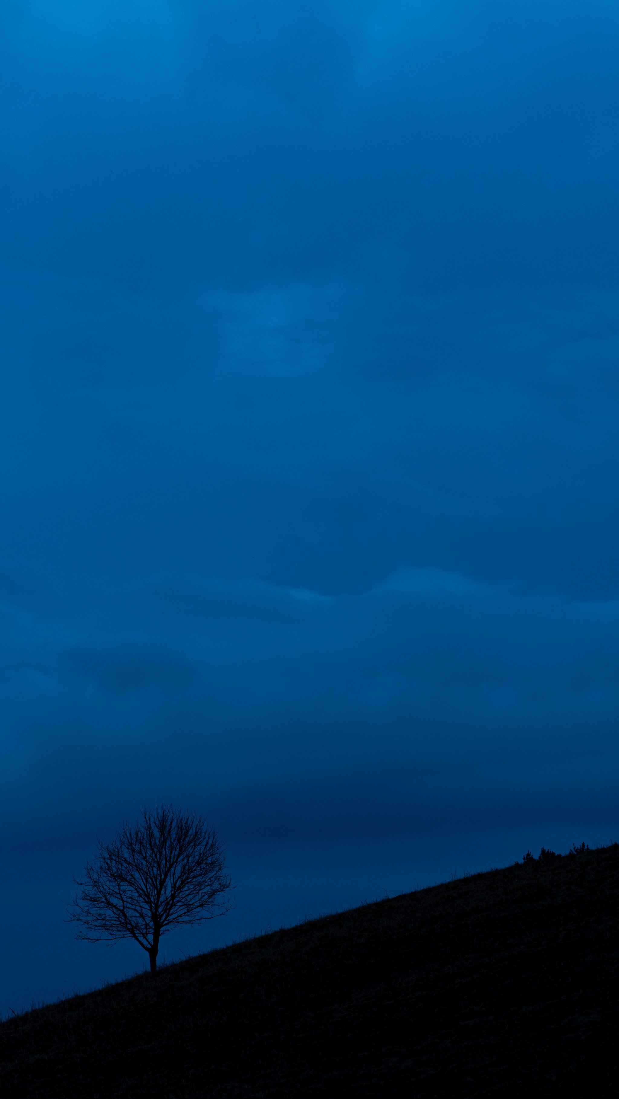 P1113542-Enhanced-NR.jpg