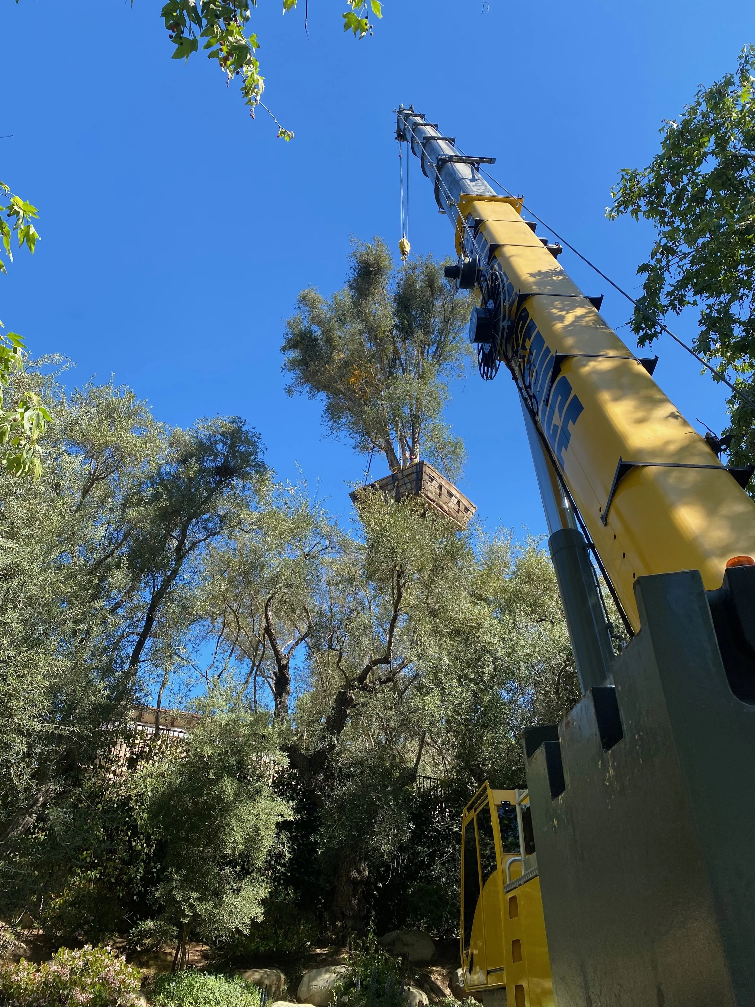 On site in Holmby Hills