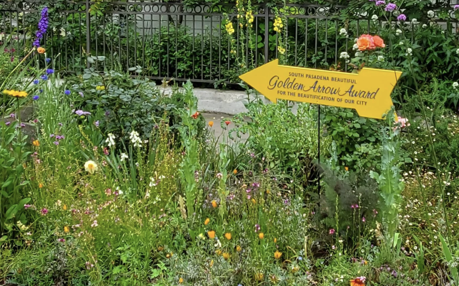 2024 Golden Arrow Award