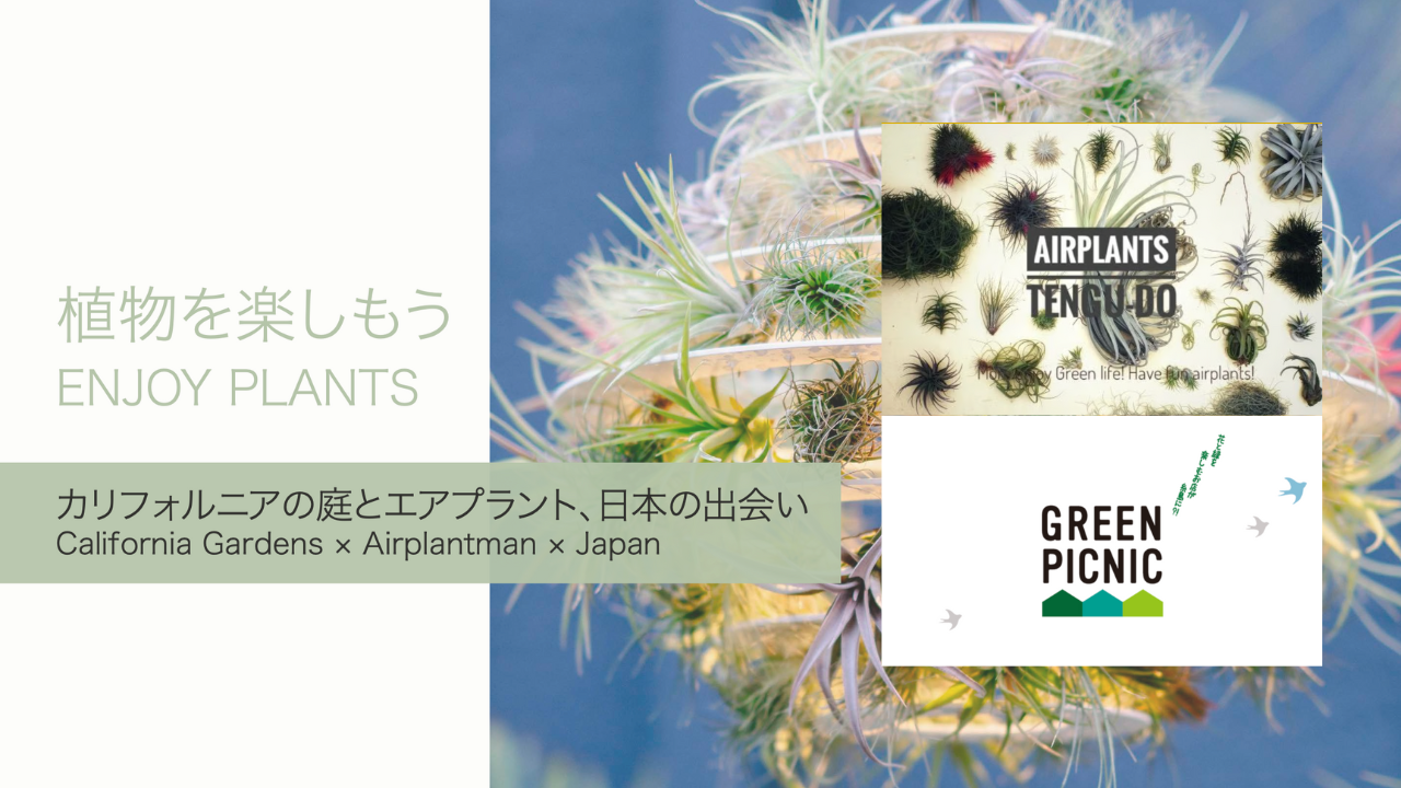 Josh Rosen presents “California Gardens” in Japan 