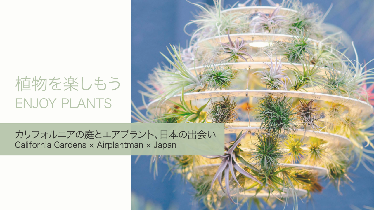 Josh Rosen presents “California Gardens” in Japan 