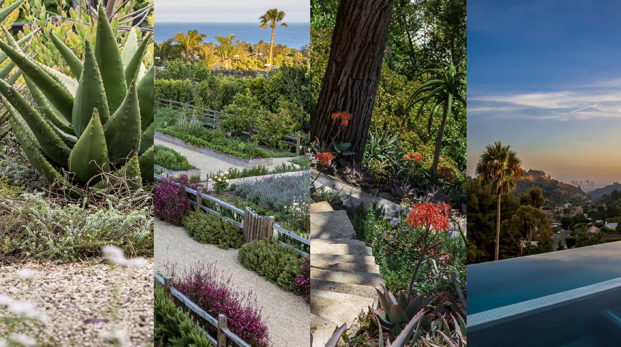 Josh Rosen presents “California Gardens” in Japan 