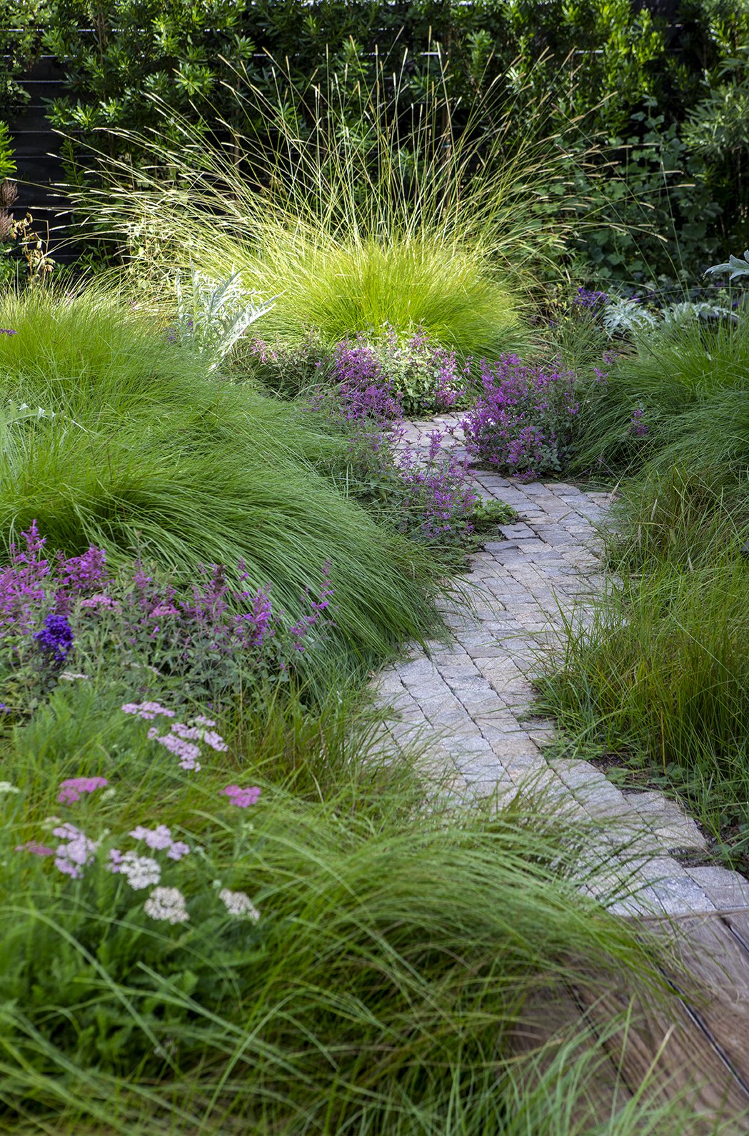 9766-MasterXX.jpg