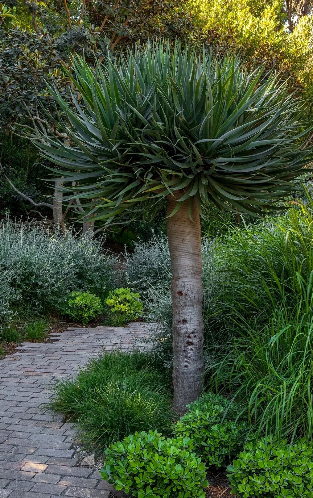 Having Fun with Plants