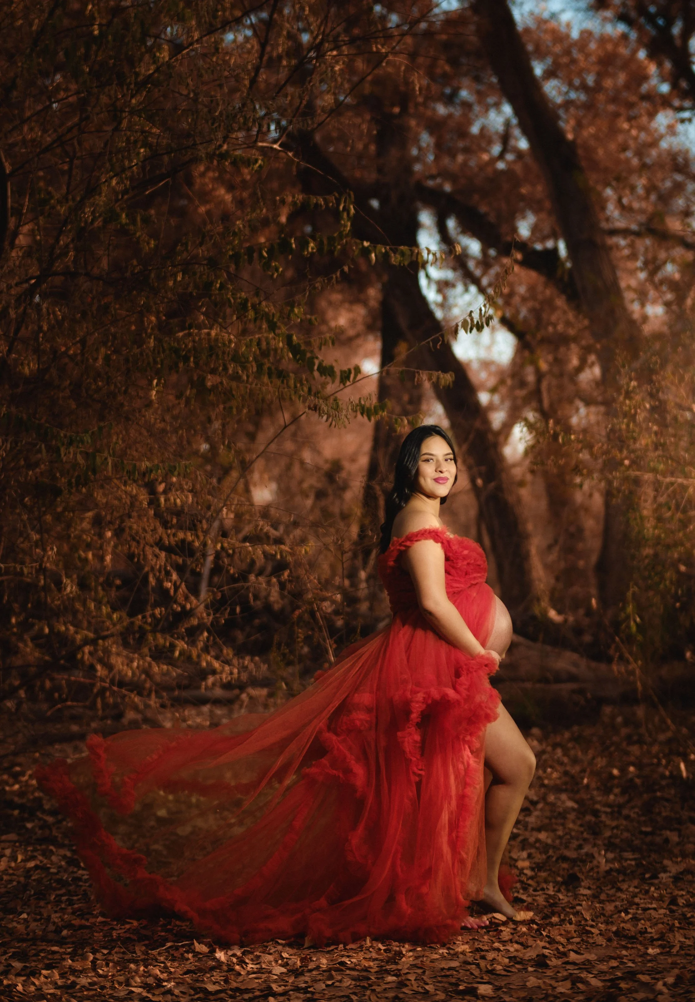 Maternity photography in albuquerque, Best maternity photographer, albuquerque maternity photography, pregnancy photography