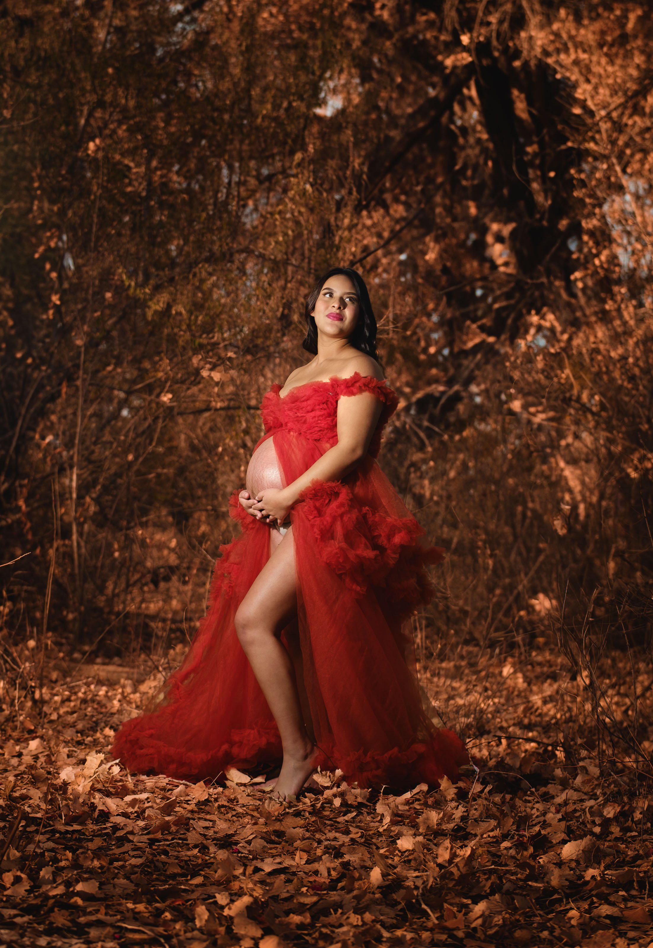 Maternity photography in albuquerque, Best maternity photographer, albuquerque maternity photography, pregnancy photography