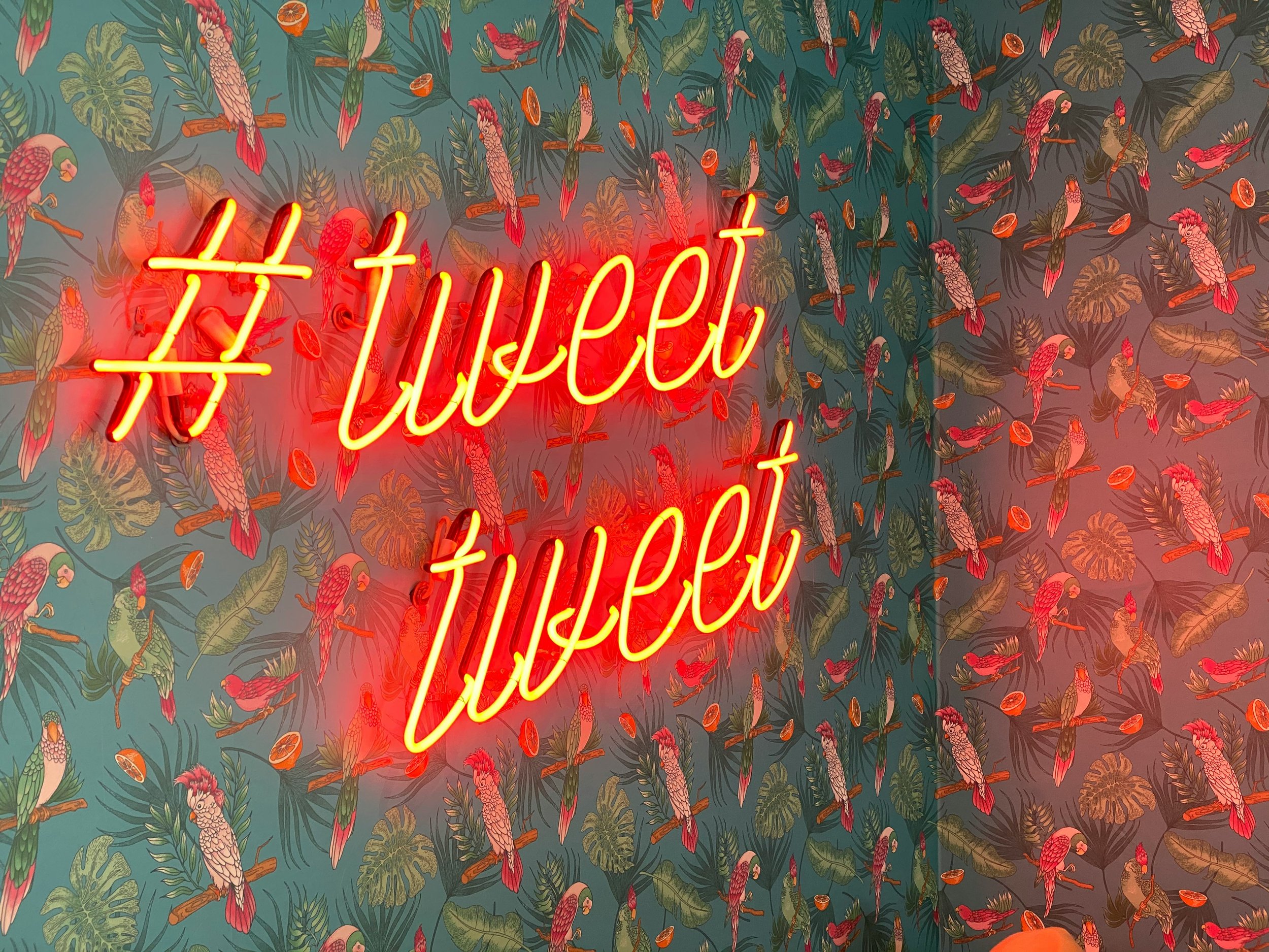 What To Know About Twitter For Professionals