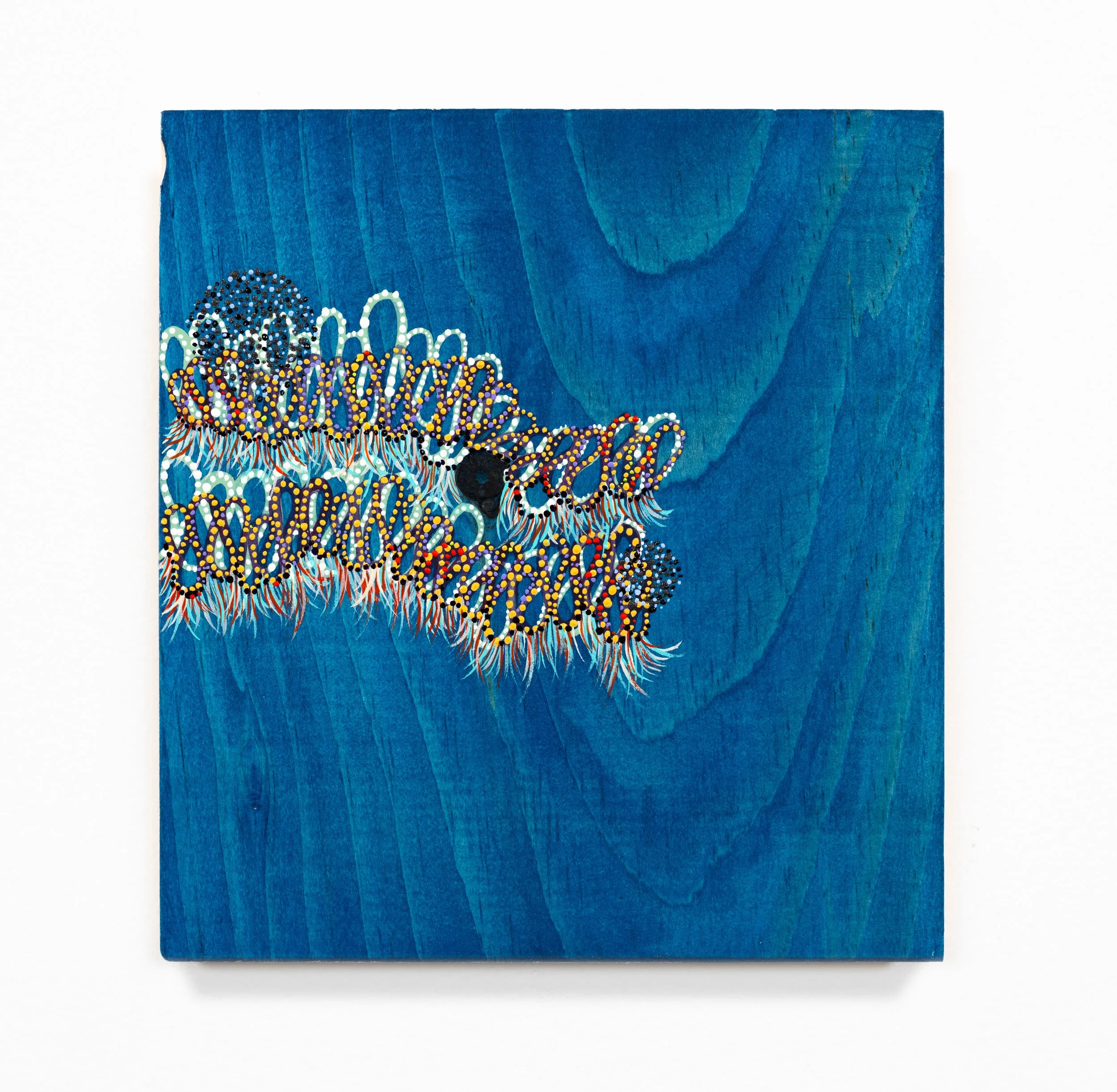 From Wind or Sky or Myth (azure) 2026 6 x 5.5 inches Acrylic on raw pine