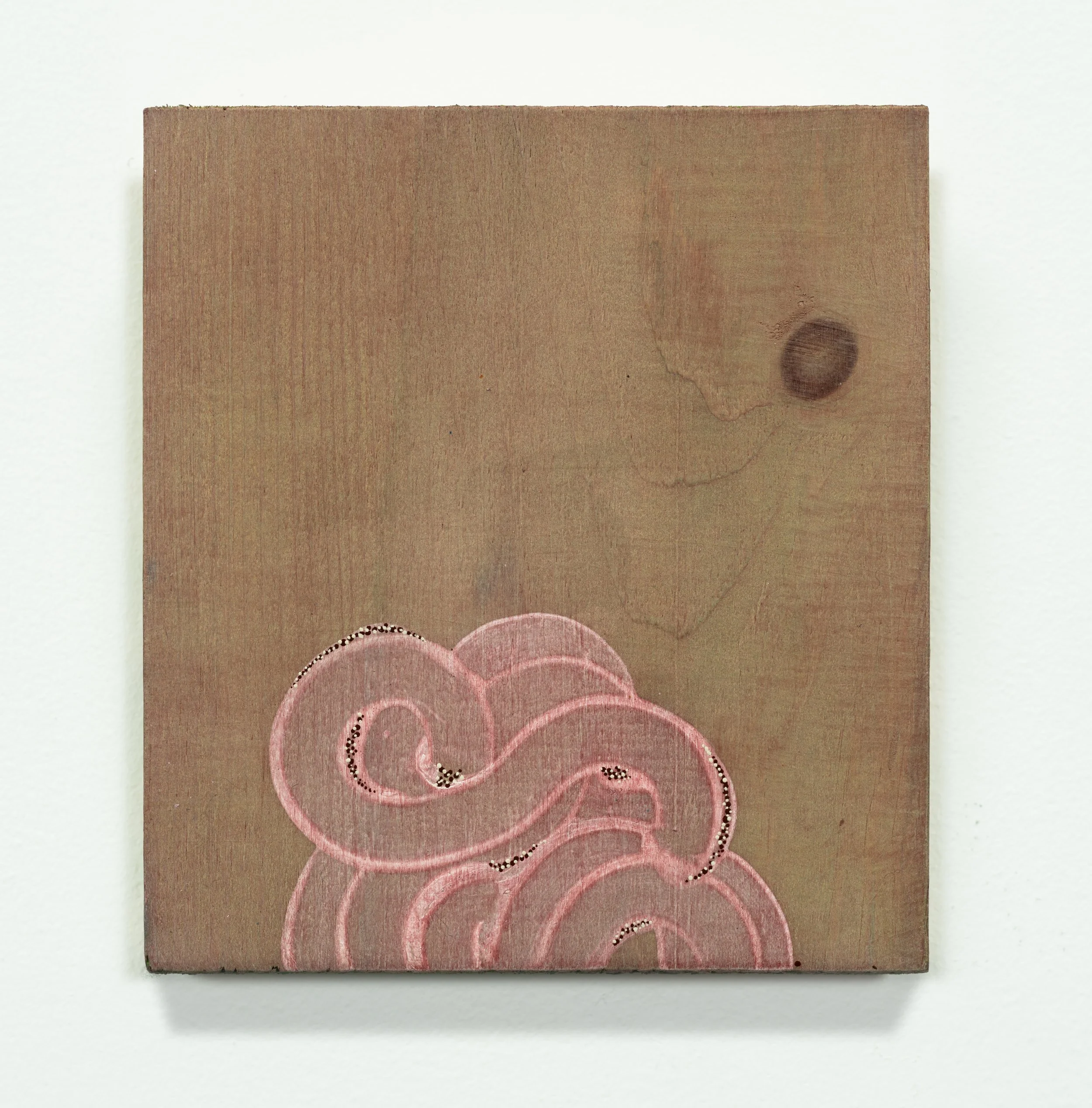 From Wind or Sky or Myth (quiet pink) 2025 6 x 5.5 inches Acrylic on raw pine