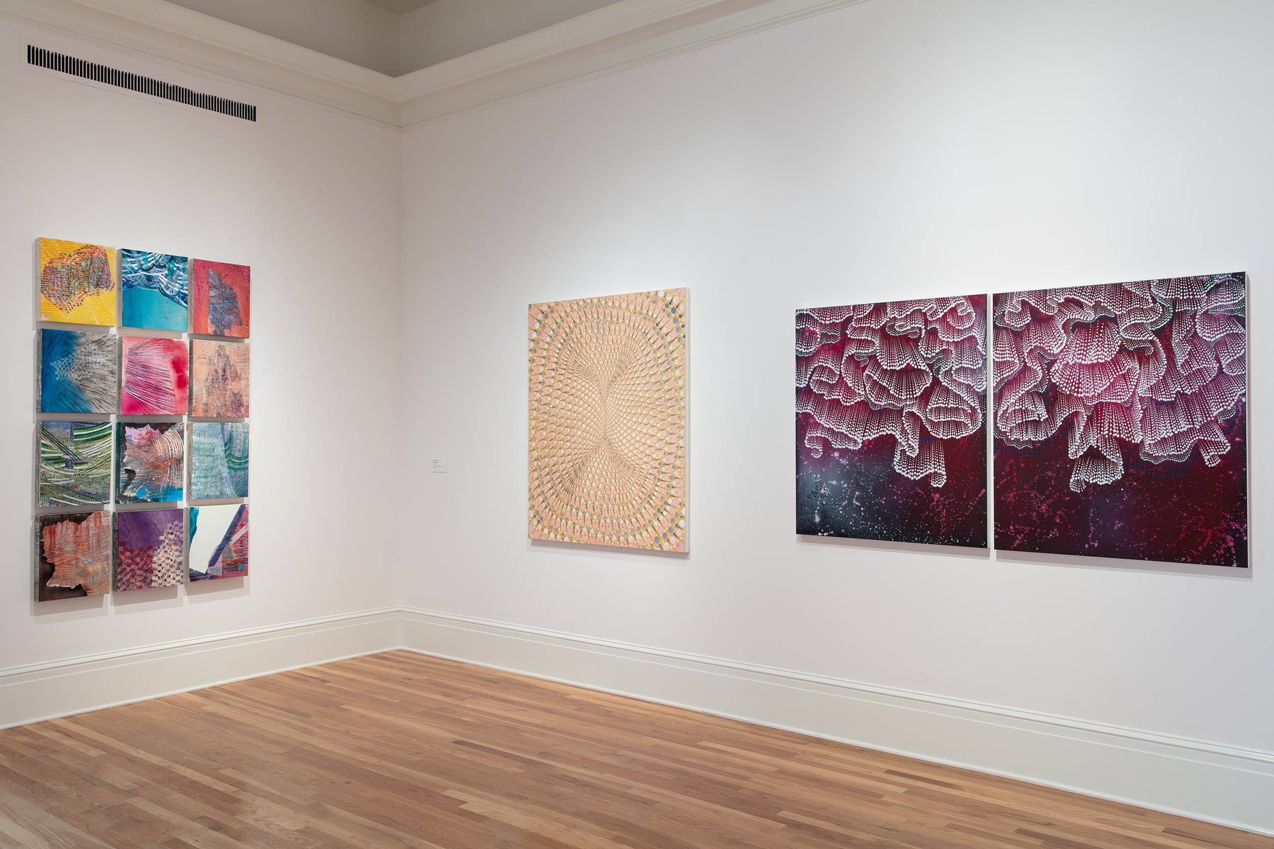 2017 Newcomb Art Museum of Tulane, New Orleans, LA Unfamiliar Again: Contemporary Women Abstractionists, curated by Mónica Ramírez-Montagut  Right: Paintings by Barbara Takenaga; Left: group by Alyse Rosner. Photo courtesy Newcomb Art Museum of Tulan