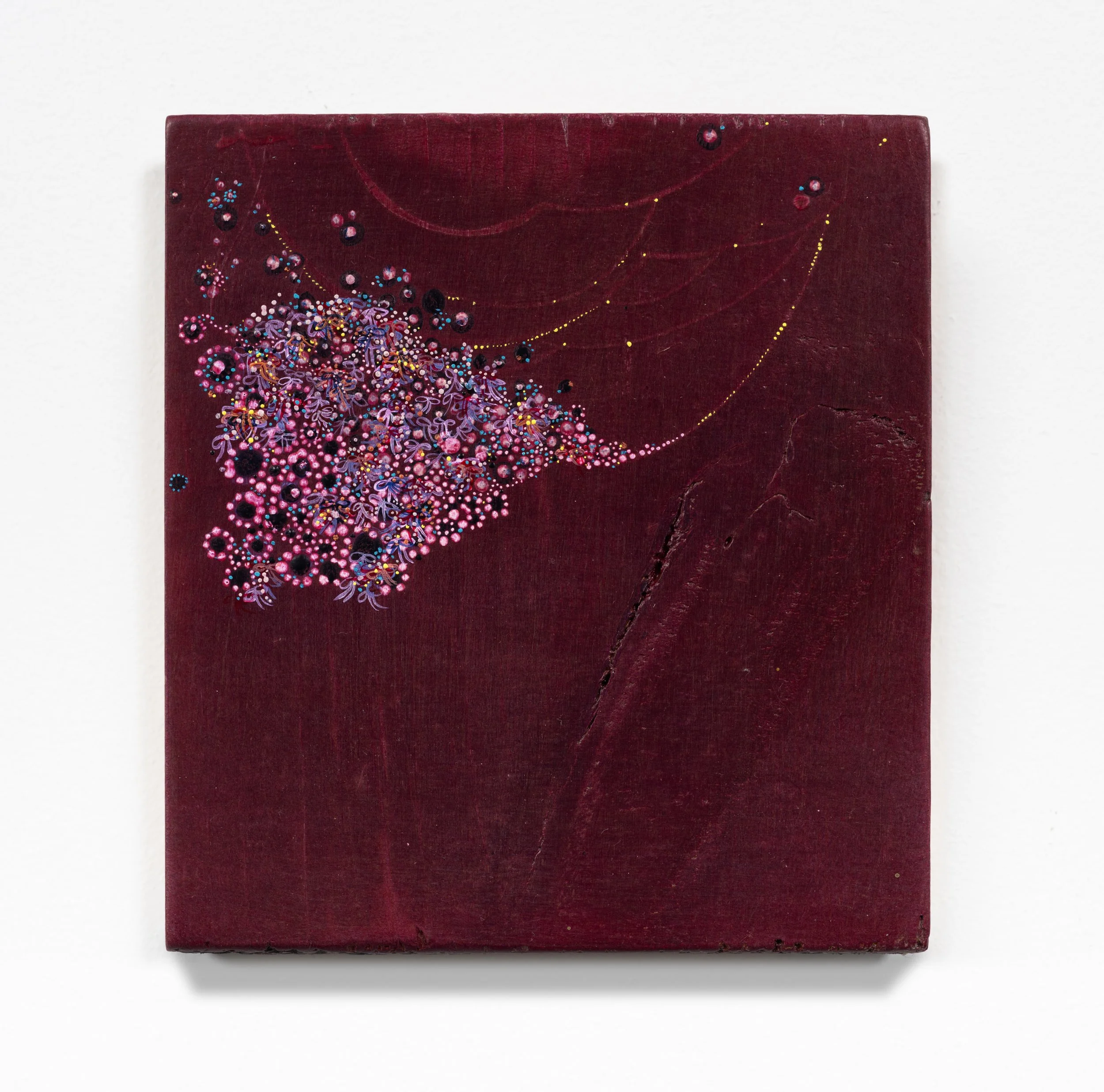 From Wind or Sky or Myth (alizarin) 2025 6 x 5.5 inches Acrylic on raw pine