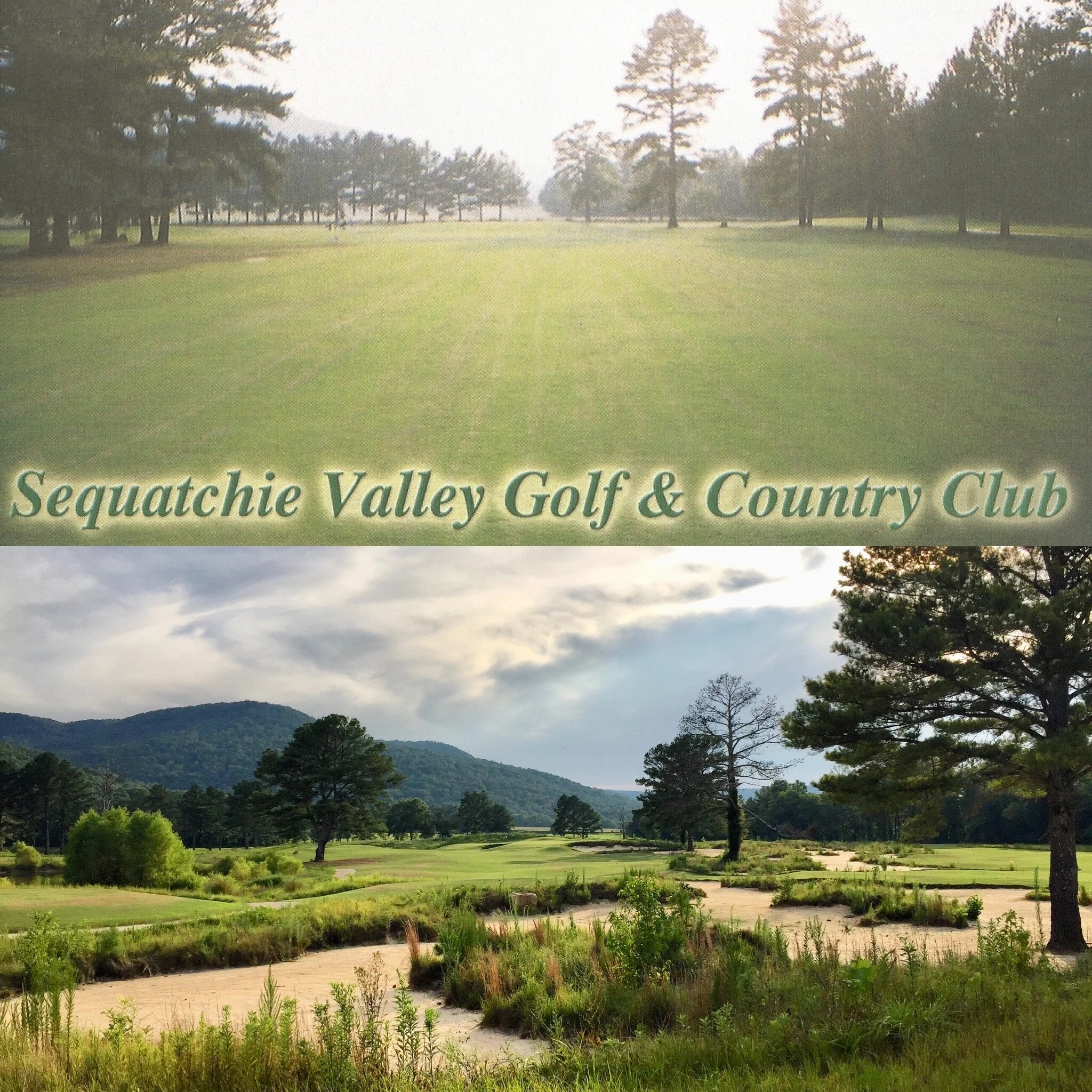   The old 5th hole with lots of trees on top, and the current 5th hole below. The ghost tree is just off the fairway on the right in both images.  