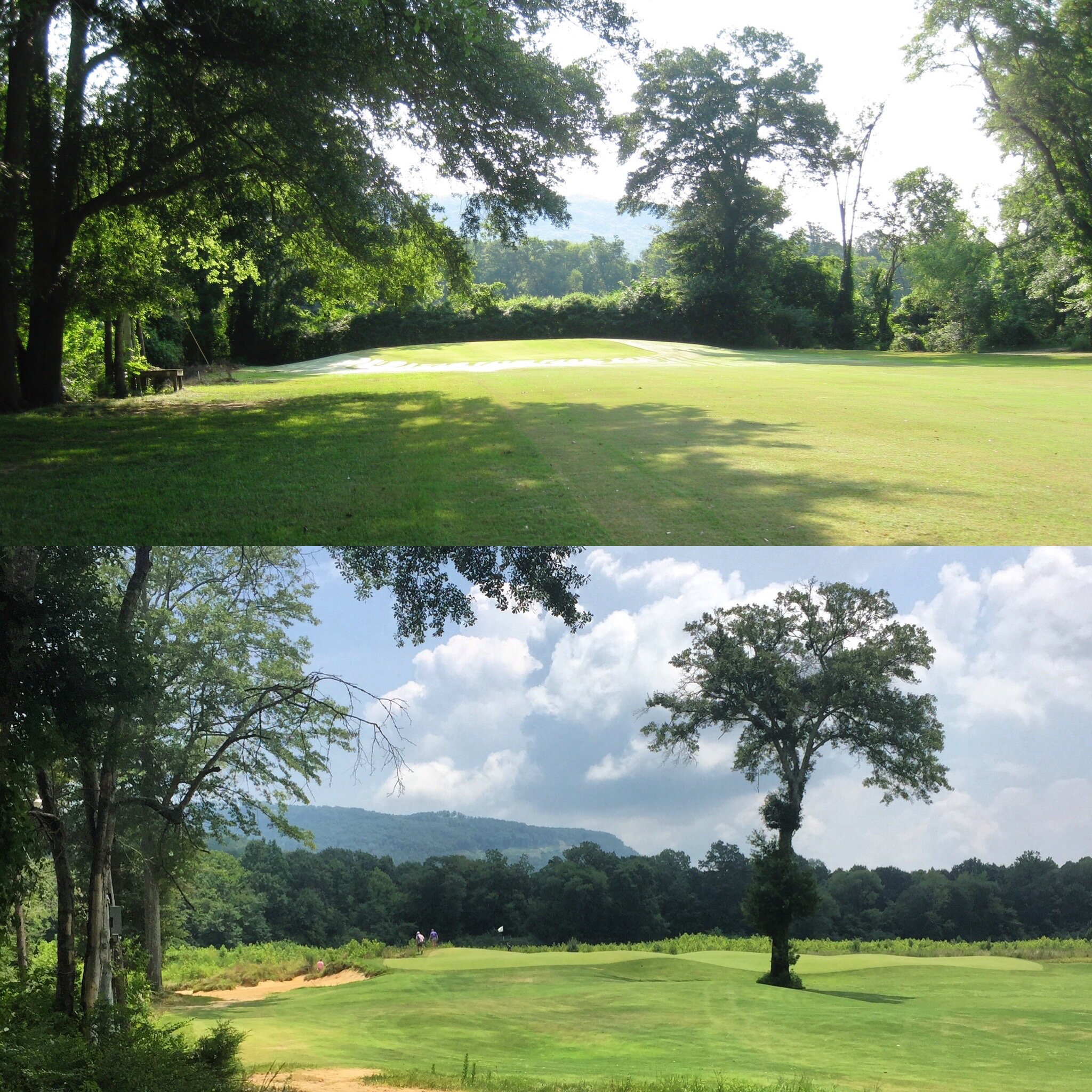   The greensite of the 3rd hole was moved about 30 yards back, extending this par 5 and bringing the majestic tree into play as defense.   