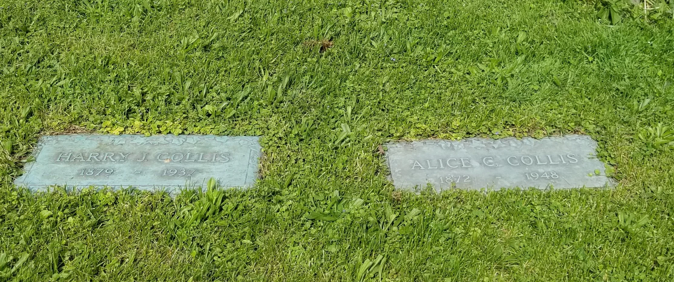  Gravesite for Harry and Alice Collis, in Mt. Greenwood Cemetery, Chicago, Illinois. 