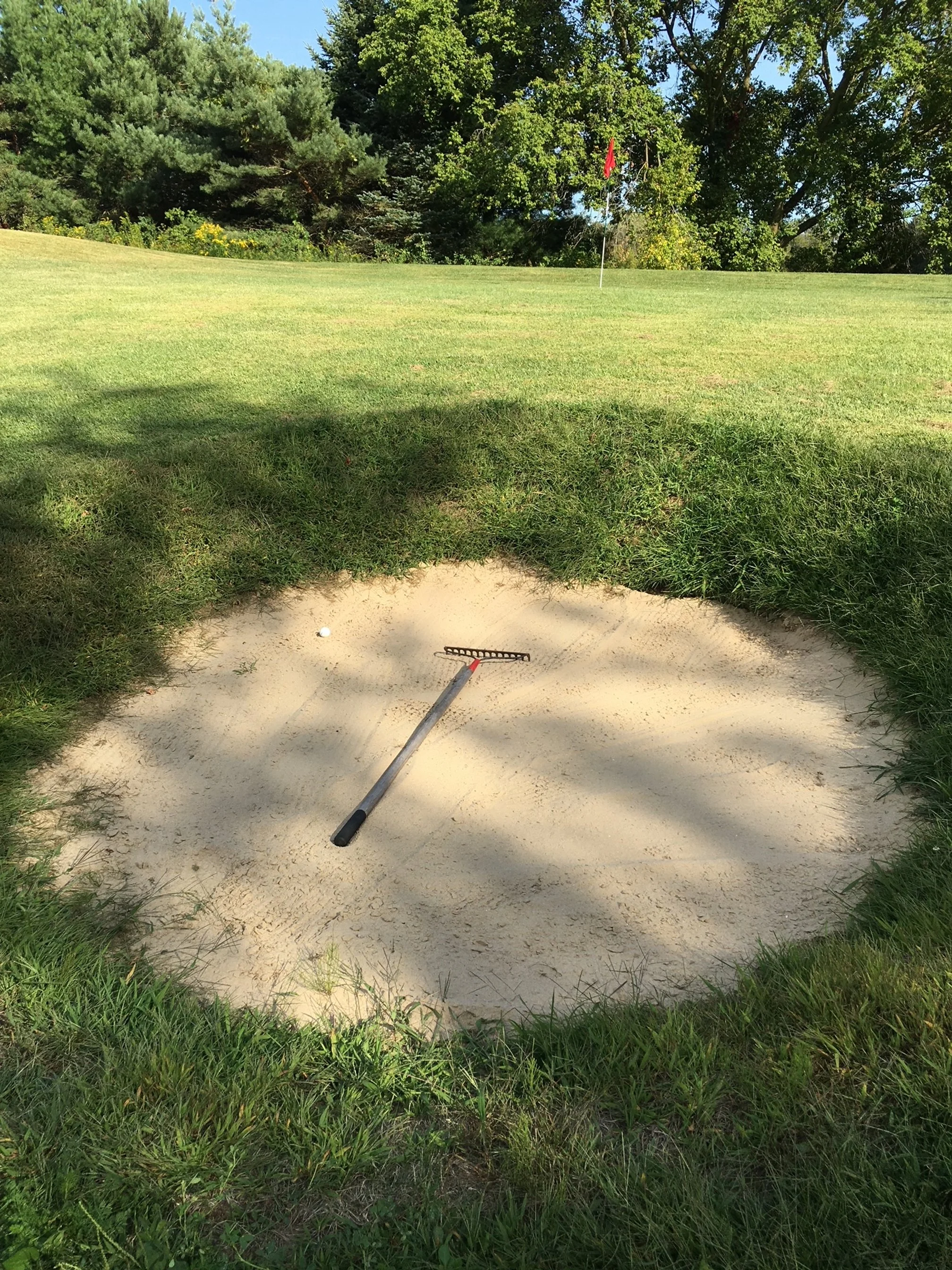   Our take on the Road Hole, complete with a pot bunker.  