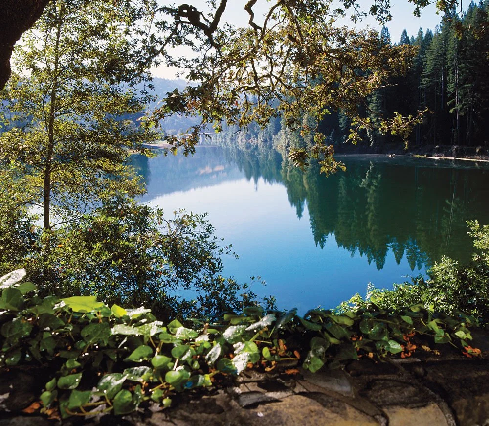 A Hidden Chapter of Benbow: The Julia Morgan Redwood Grove &amp; the Lake That Once Was