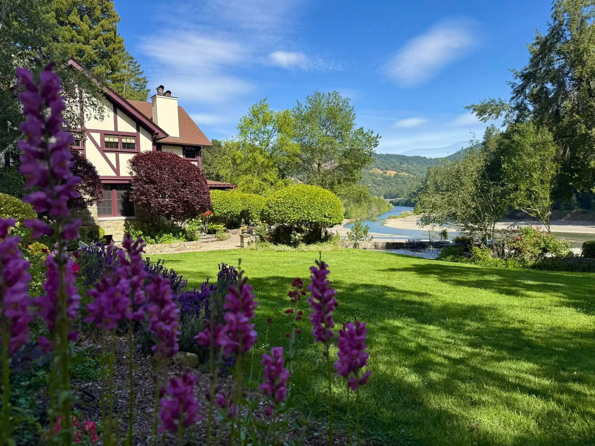 Behind the Beauty of Julia Morgan Redwood Grove
