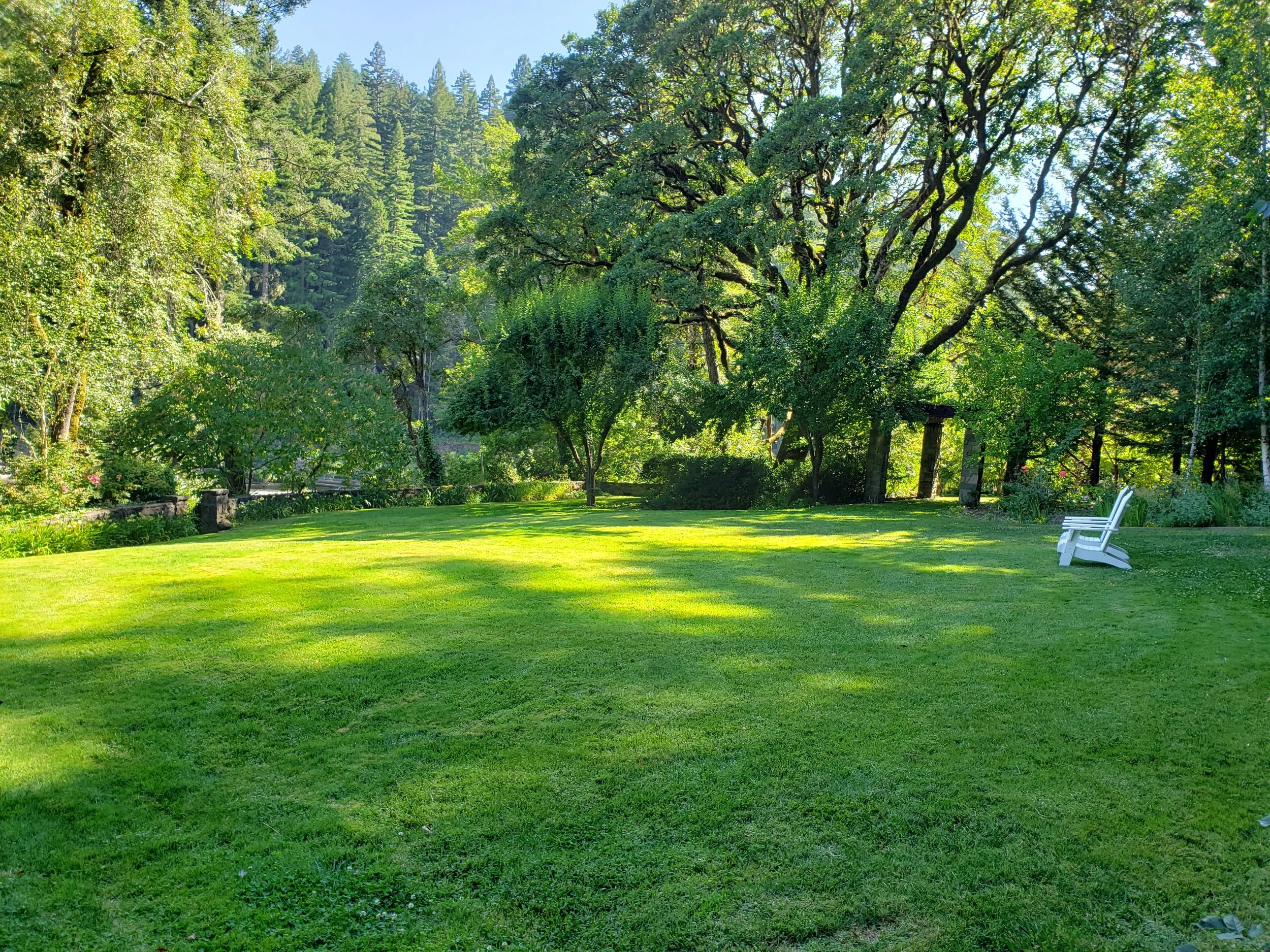 The lush west lawn surrounded by tall trees and bushes.