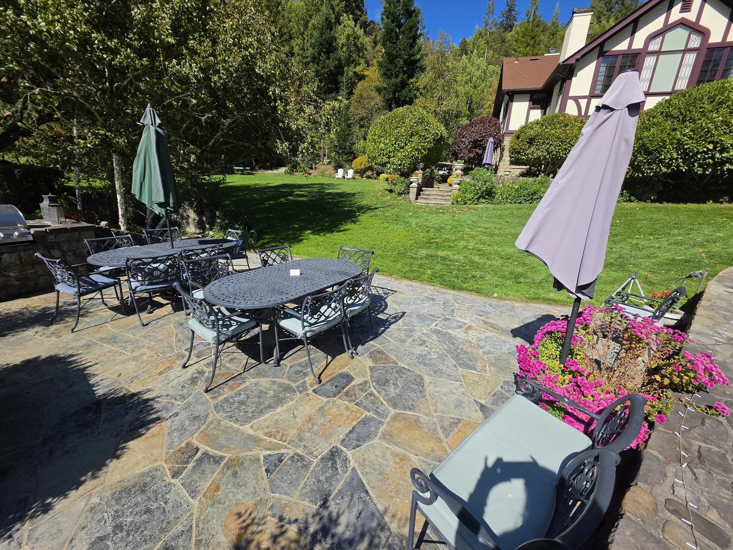 Lower terrace 4.jpg