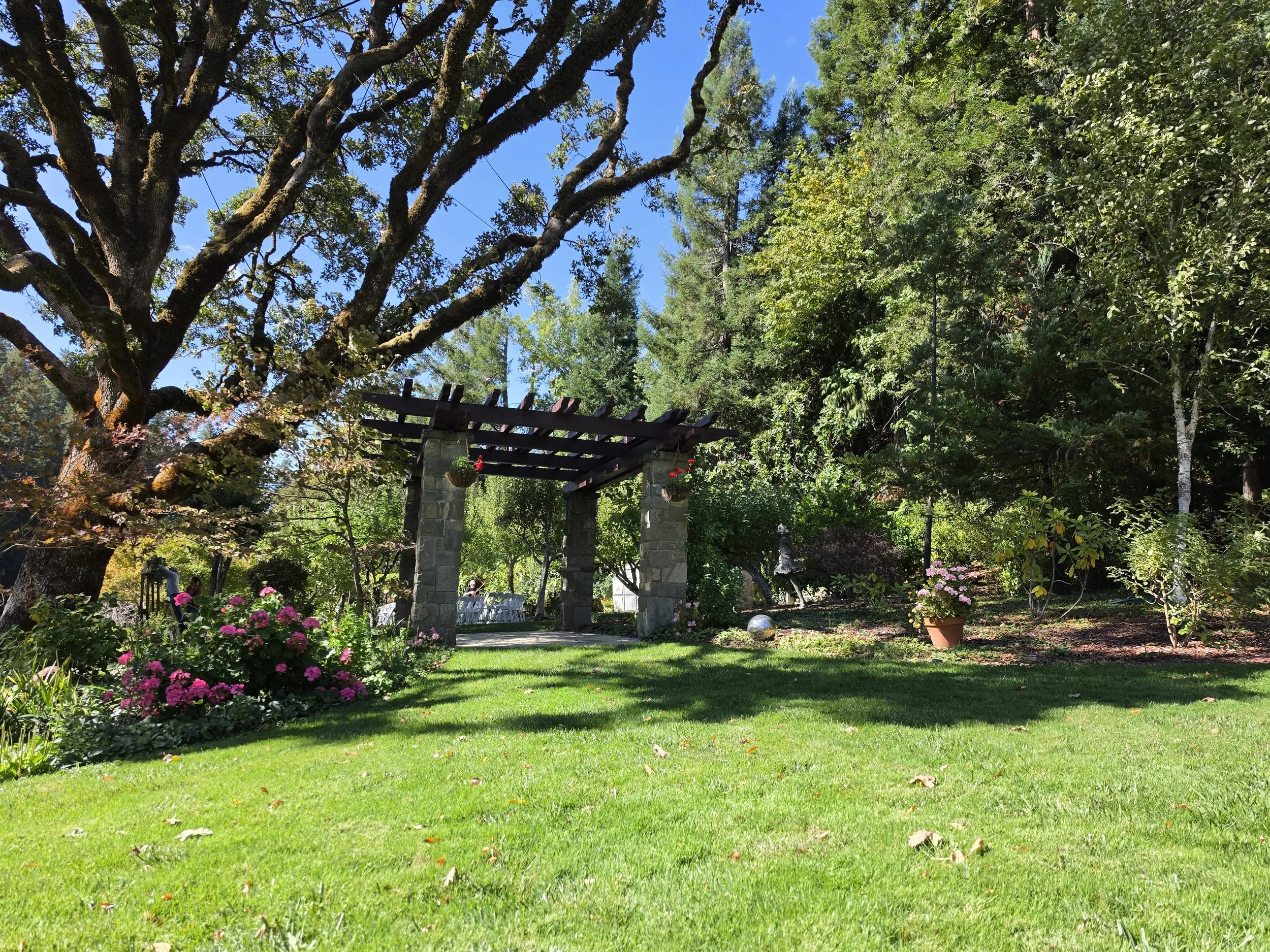 Orchard Pergola 1.jpg