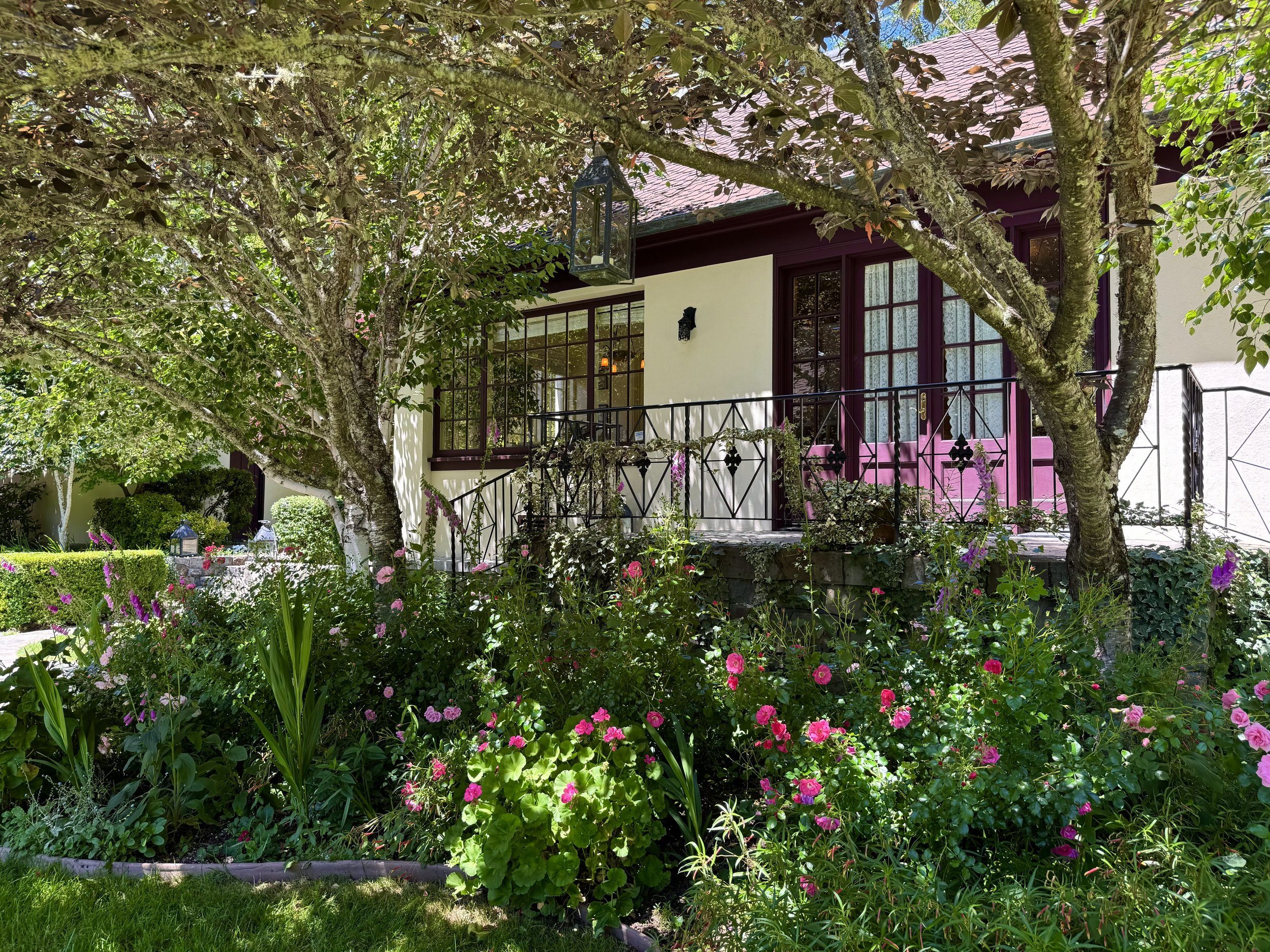 A garden with a variety of pink, purple, and green flowering plants in front of a house with large windows, a balcony, and purple trim, partially obscured by a large tree with branches and leaves.