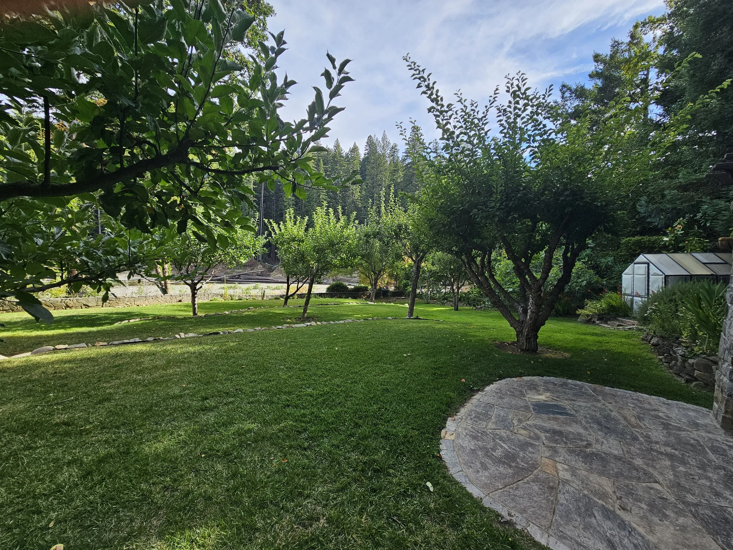 A lush green backyard with a well-maintained lawn, multiple trees, a glass greenhouse, and a stone pathway, with a blue sky and scattered clouds overhead.