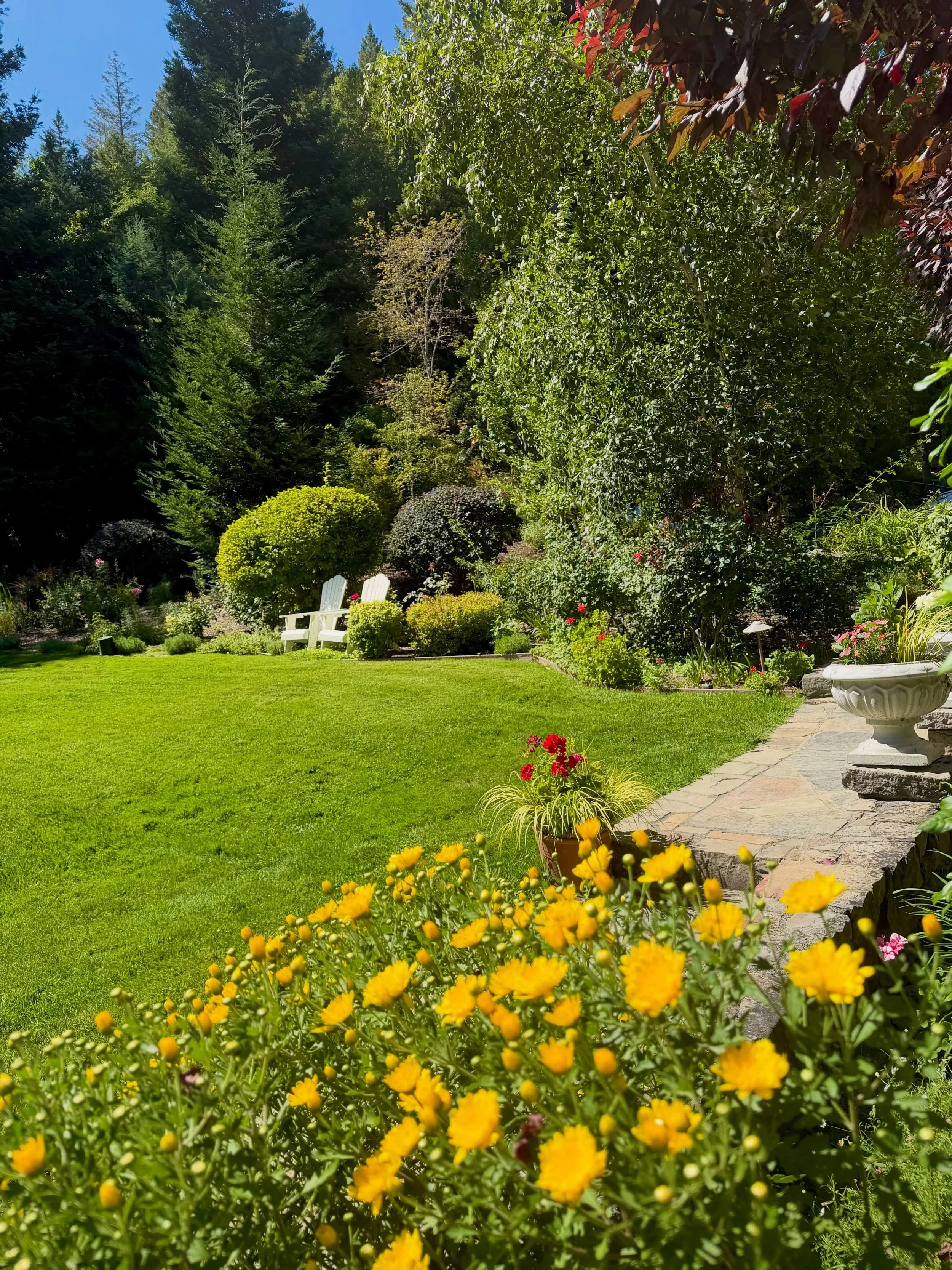 West Lawn flower & chairs FB.jpg