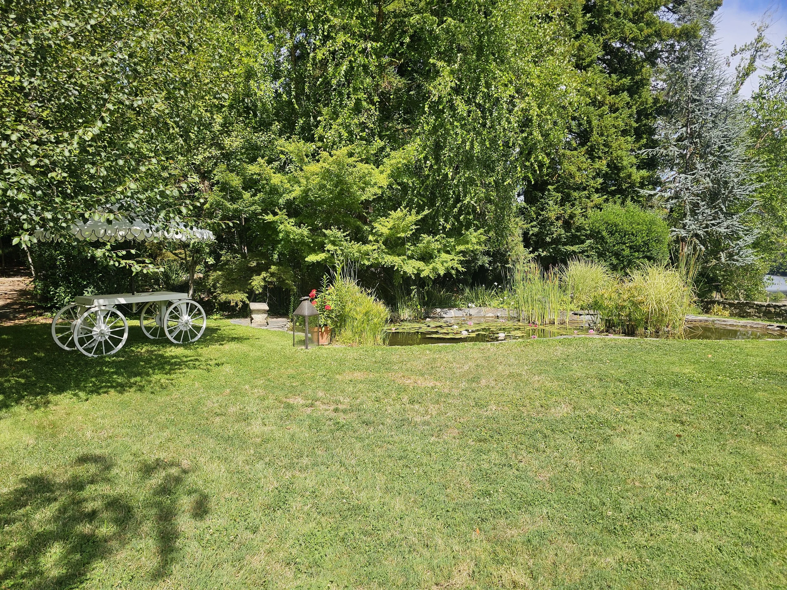 A lush backyard with green trees, a small pond with water lilies, and a white, vintage-style cart with a canopy.
