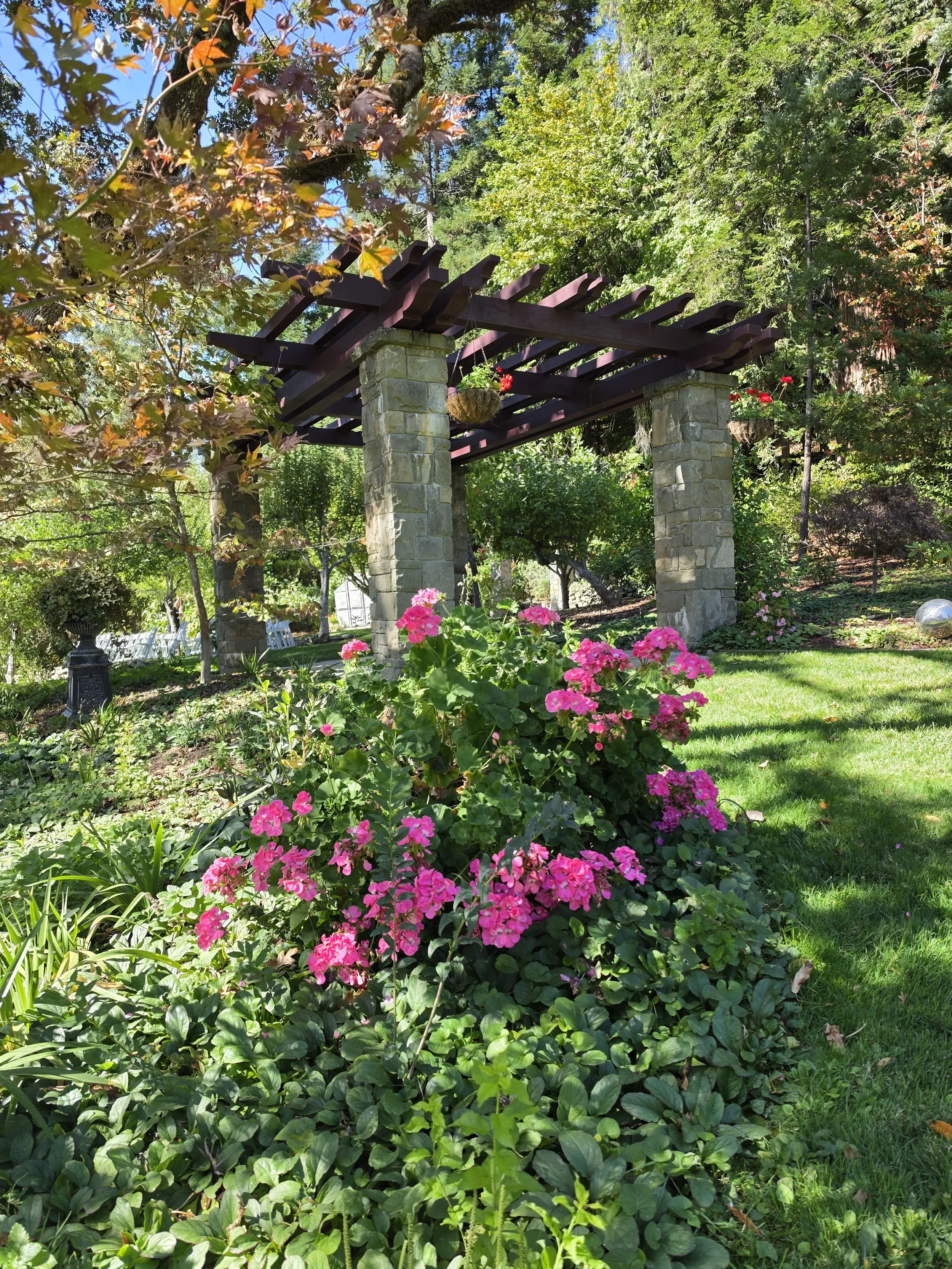 Orchard Pergola 2.jpg