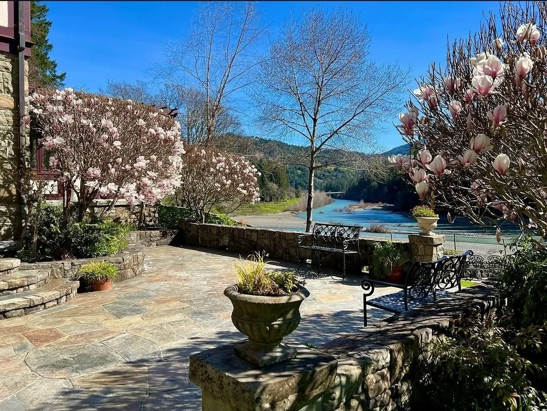 A scenic outdoor patio overlooking the Eel river, with blooming pink magnolia trees, leafless trees, stone benches, a stone patio, and potted plants, under a clear blue sky.