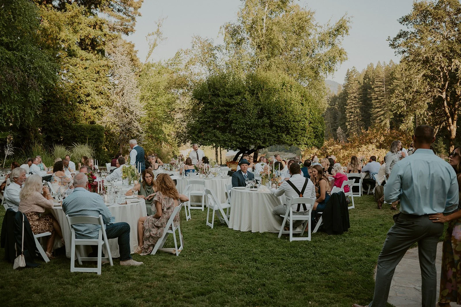Outdoor wedding reception at Julia Morgan Redwood Grove with guests seated at round tables with white tablecloths, surrounded by green trees and a lawn.