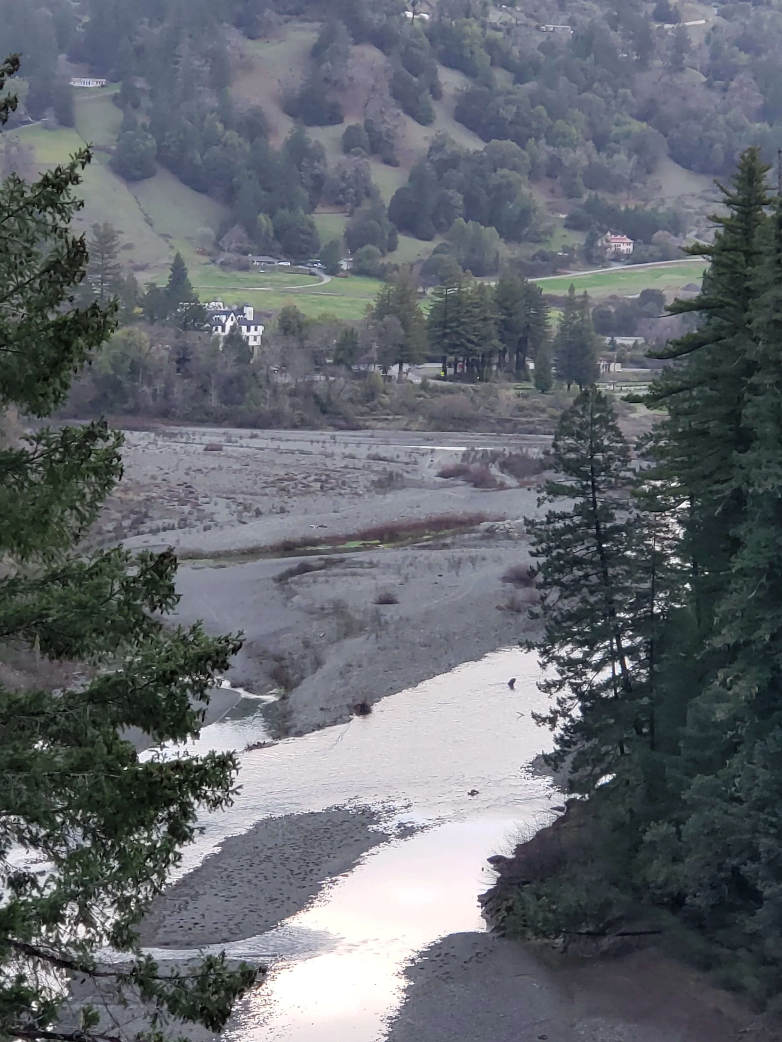 The Eel river flowing through a dry, rocky landscape surrounded by lush green trees and hills with scattered houses.